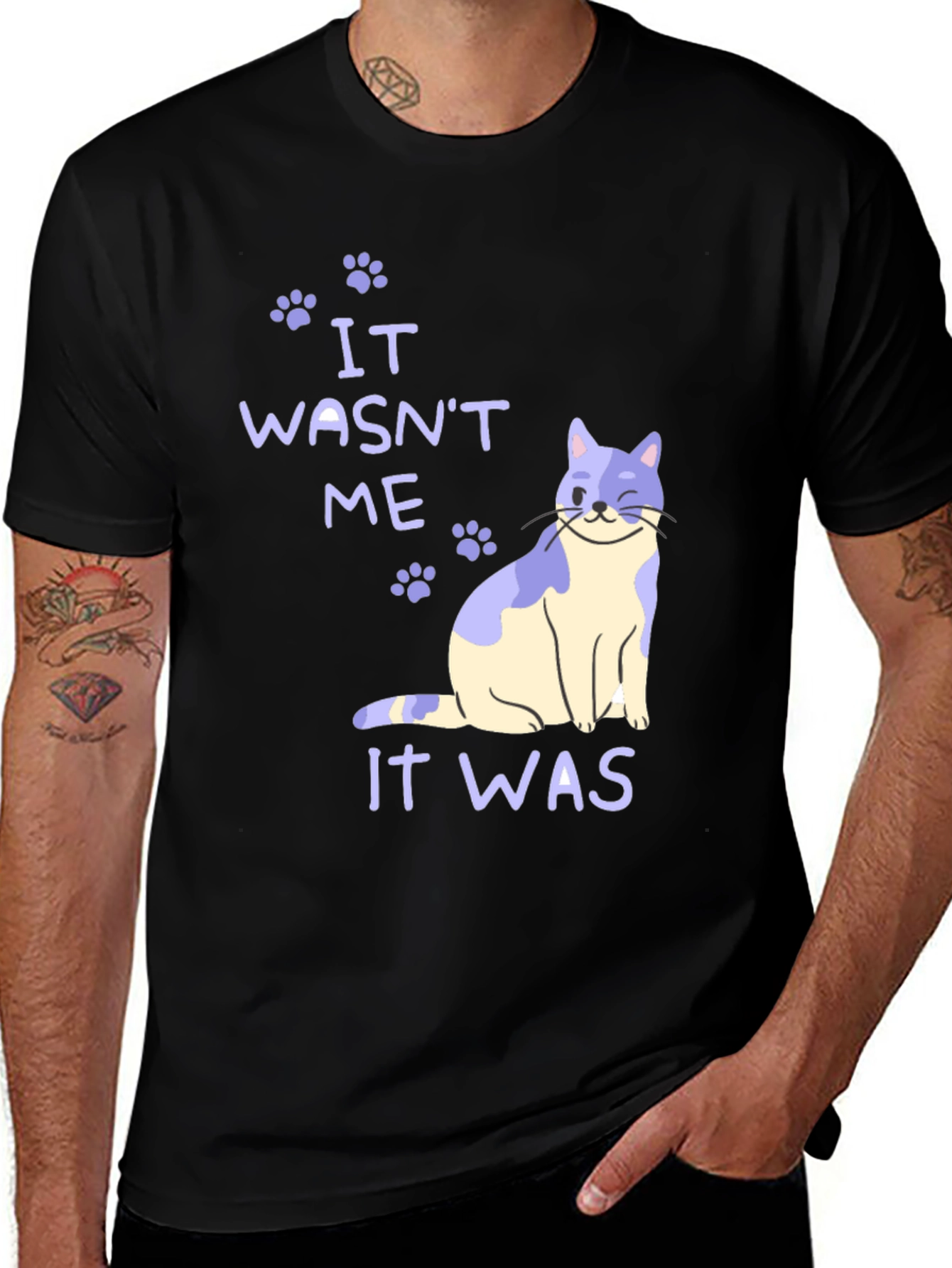 Variant 17 of It Wasn't Me Cat T-Shirt
