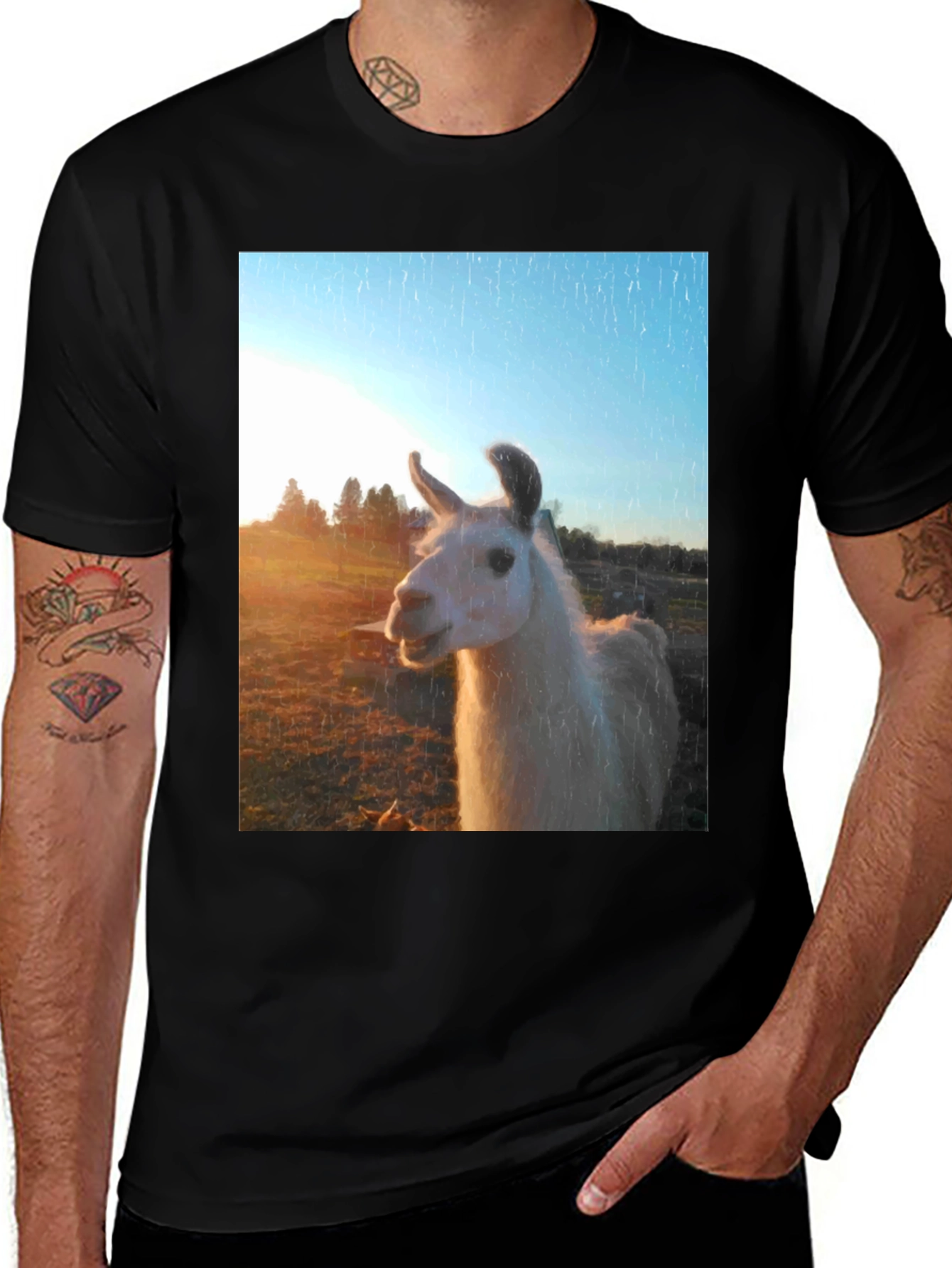 Variant 5 of Llama T-Shirt - Unique Animal Graphic Tee