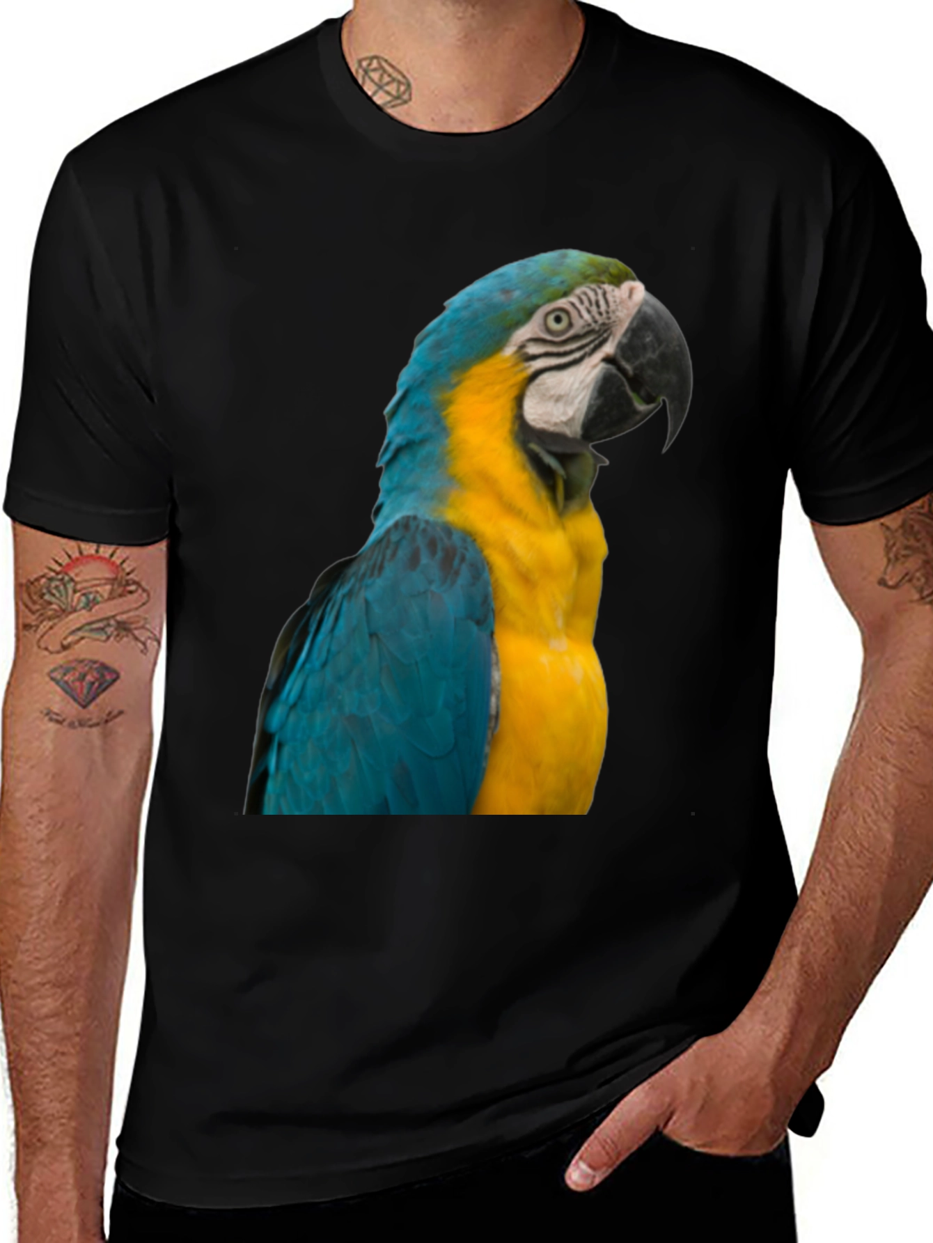 Variant 29 of Macaw Parrot Graphic T-Shirt - Bold Bird Design