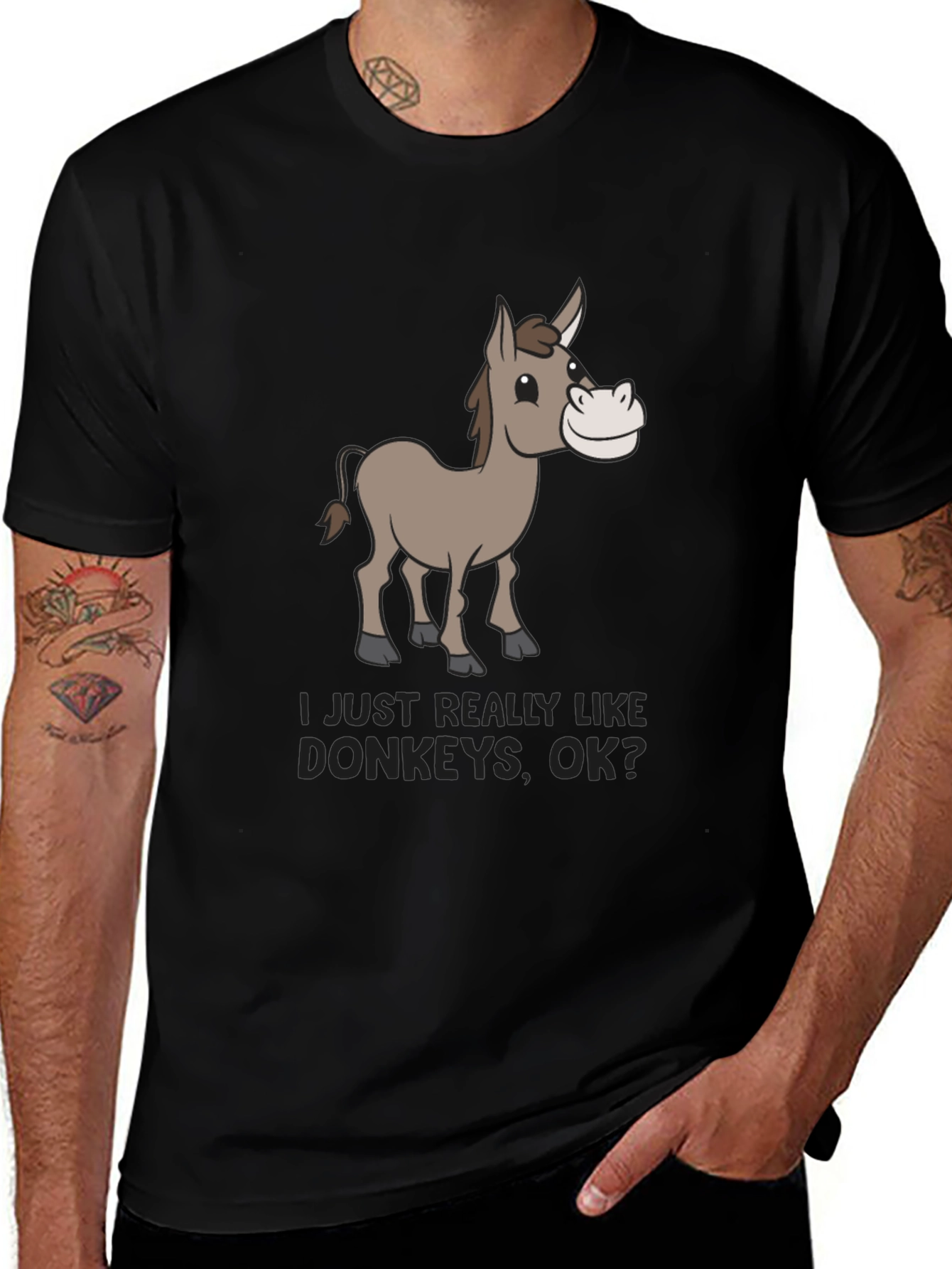 Variant 22 of Funny Donkey Lover Graphic Tee - Black