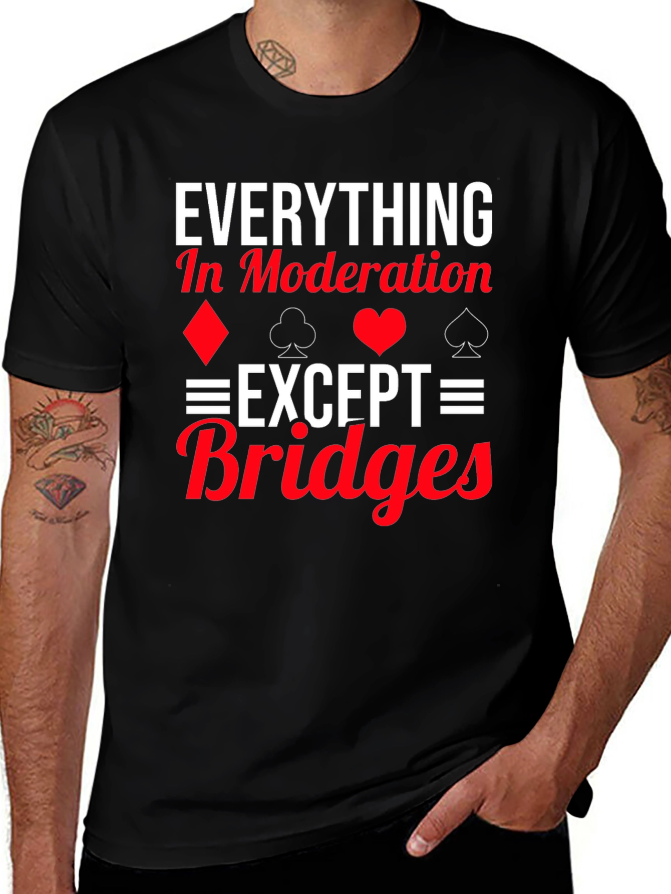 Variant 11 of Everything in Moderation Except Bridges T-Shirt