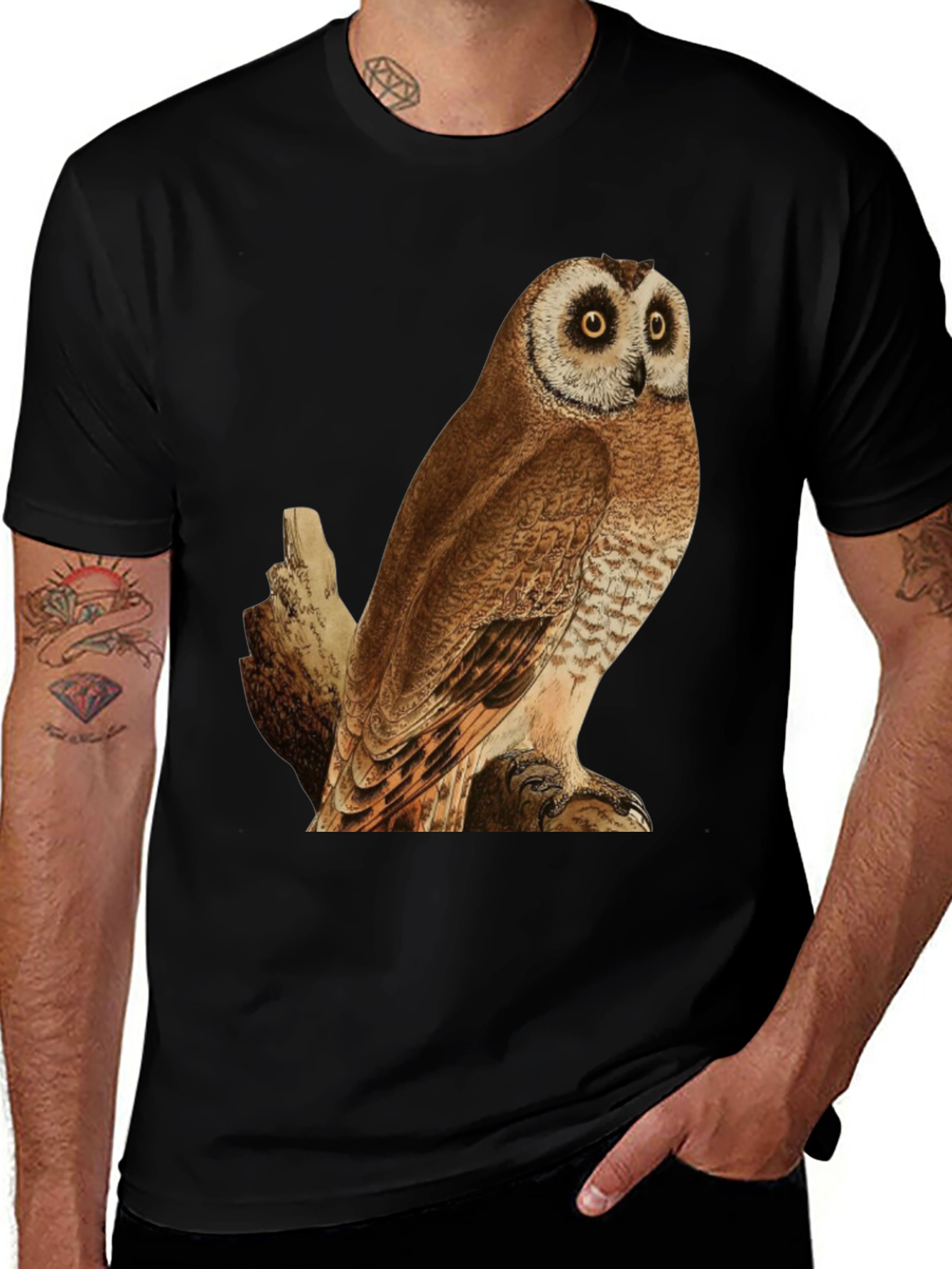 Variant 21 of Owl Graphic Print Black T-Shirt