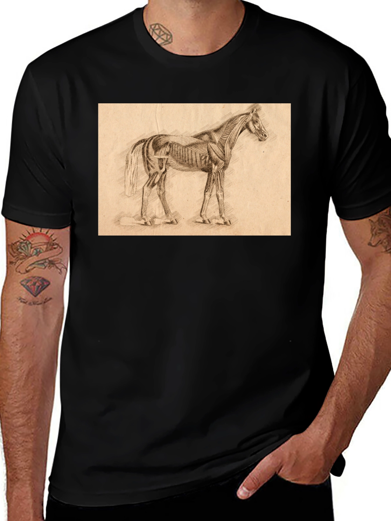 Variant 30 of Horse Anatomy Sketch Black T-Shirt