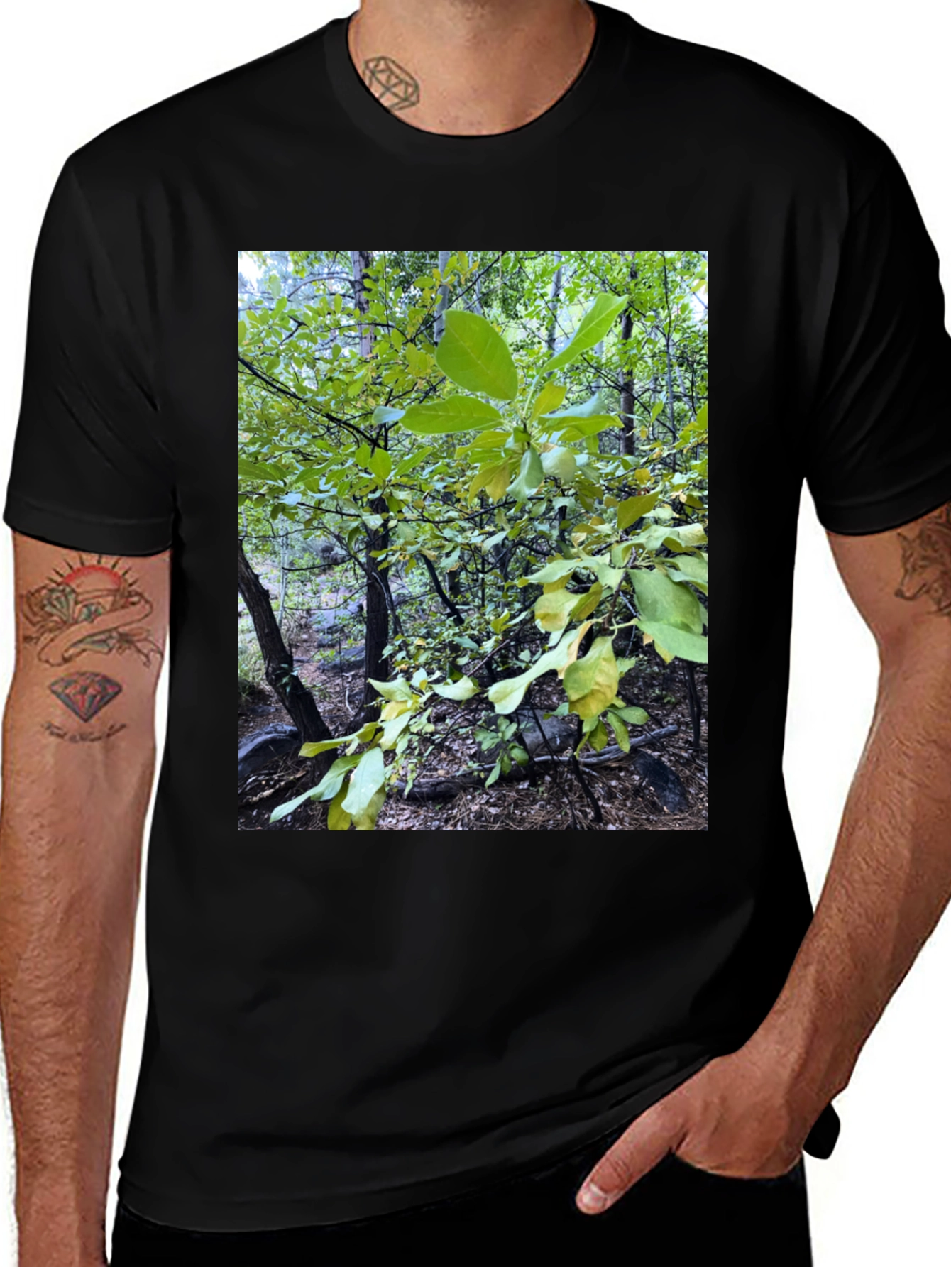 Variant 30 of Nature Scene Graphic Tee - Forest Green Leaves