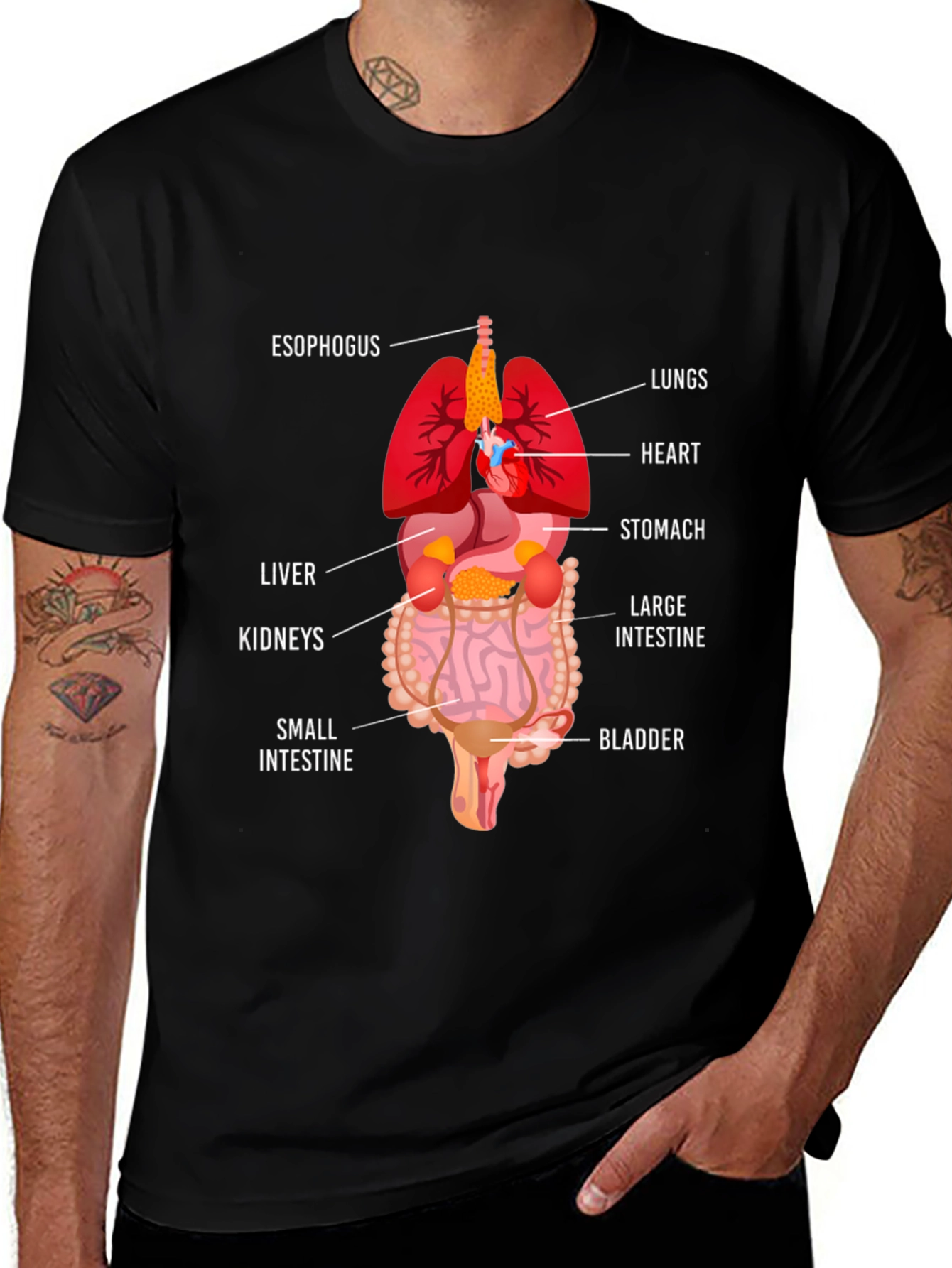 Variant 22 of Anatomy T-Shirt - Human Organs