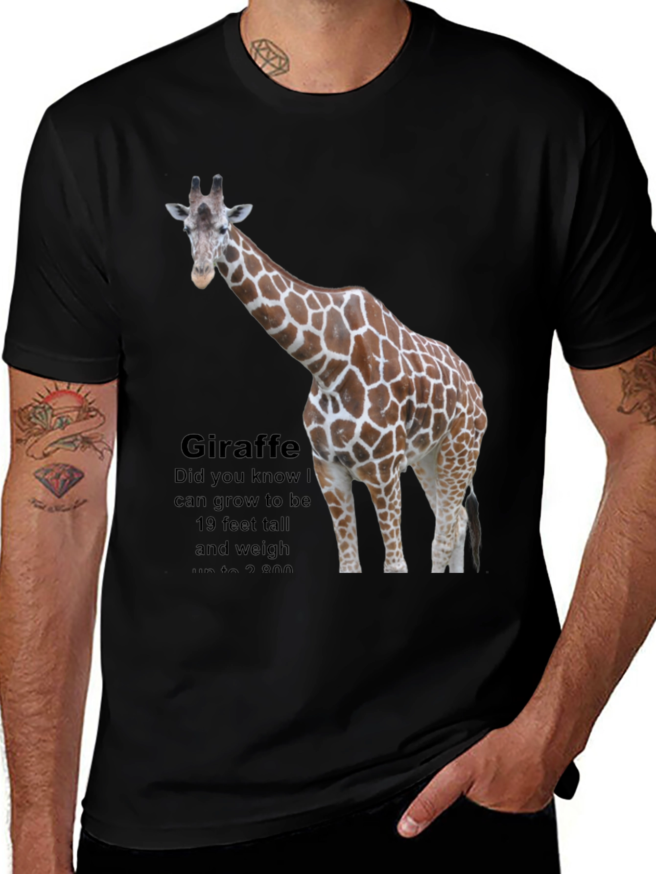 Variant 10 of Giraffe Fact T-Shirt