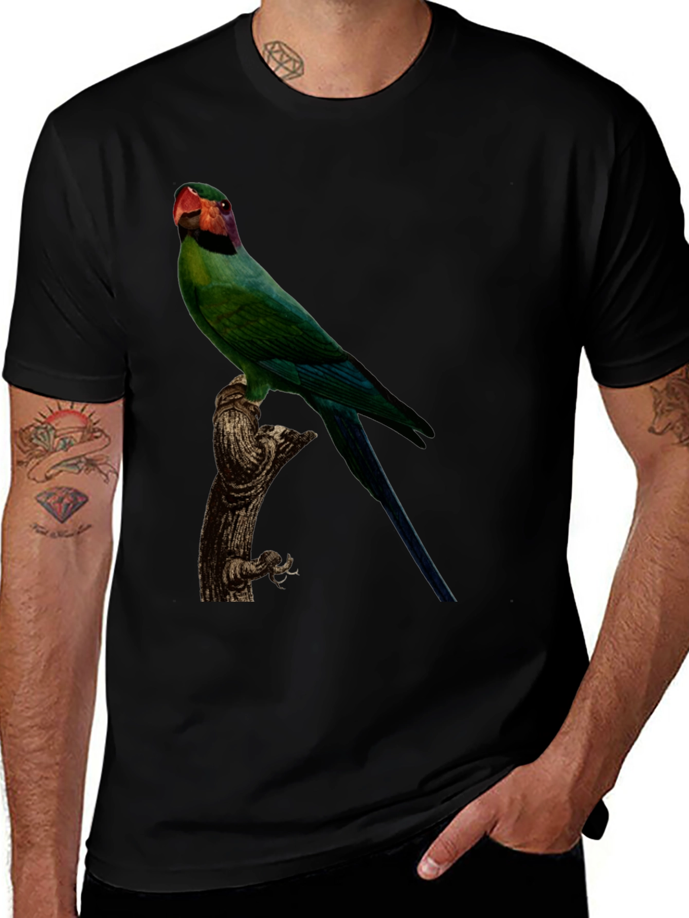 Variant 18 of Parrot Graphic T-Shirt