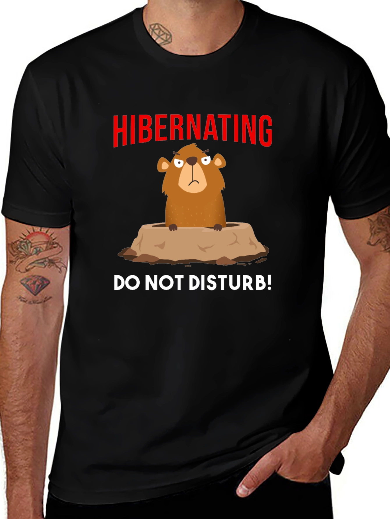 Variant 2 of Hibernating Groundhog T-Shirt - Do Not Disturb