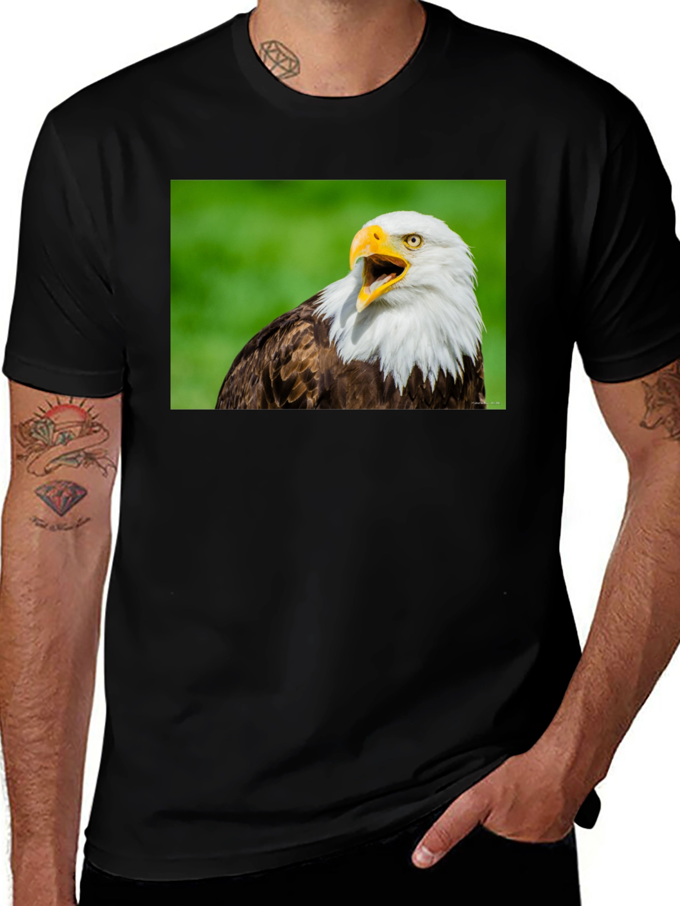 Variant 6 of Eagle Graphic Tee - Patriotic American Bird Print