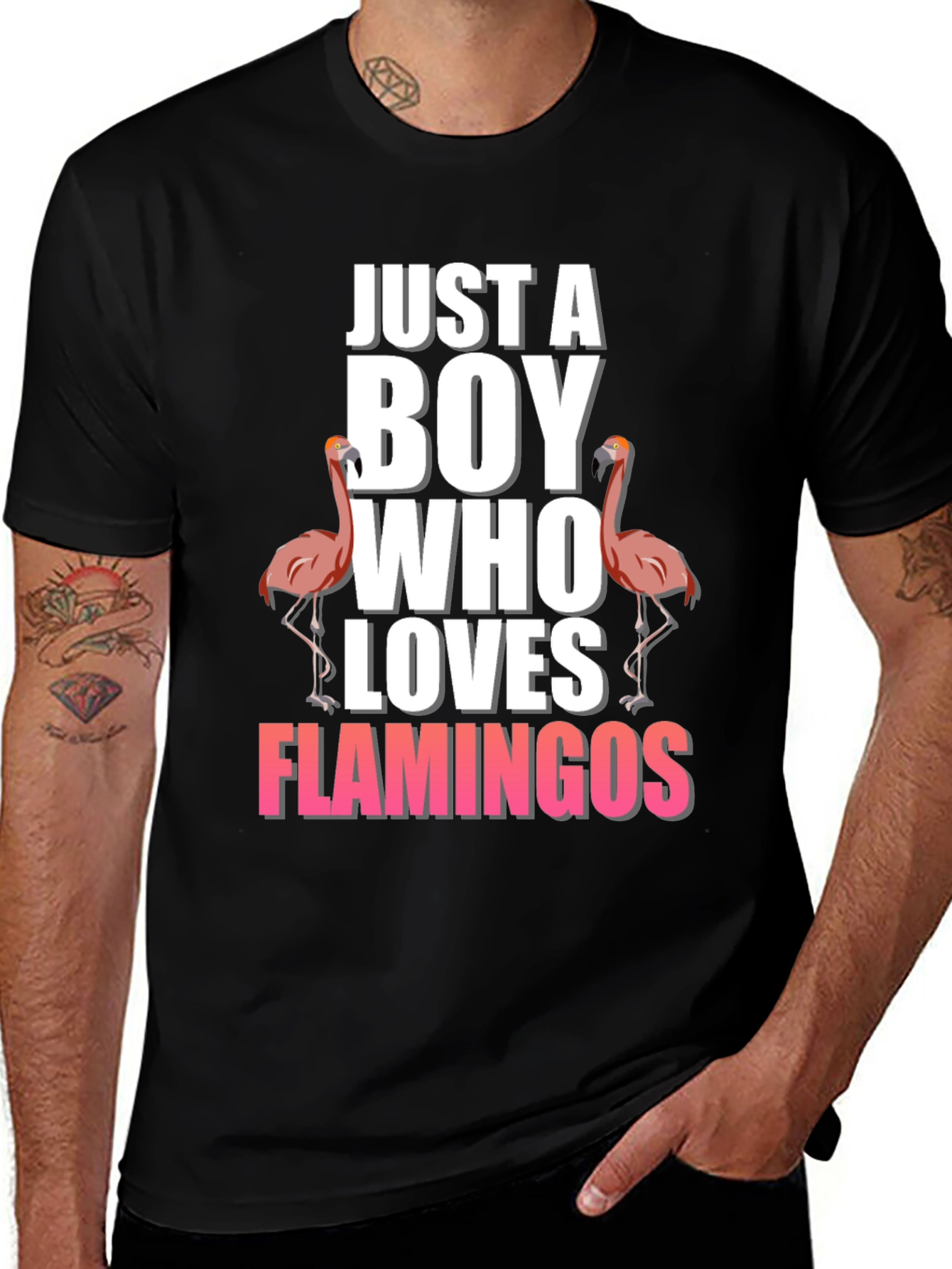 Variant 17 of Boy Who Loves Flamingos T-Shirt