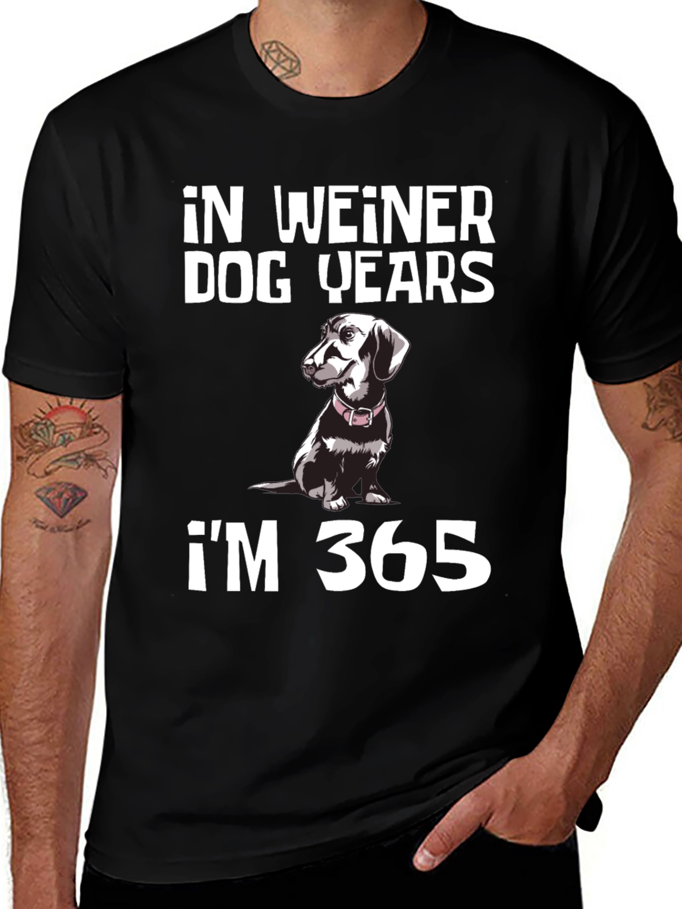 Variant 25 of Funny Dachshund T-Shirt: In Weiner Dog Years, I'm 365
