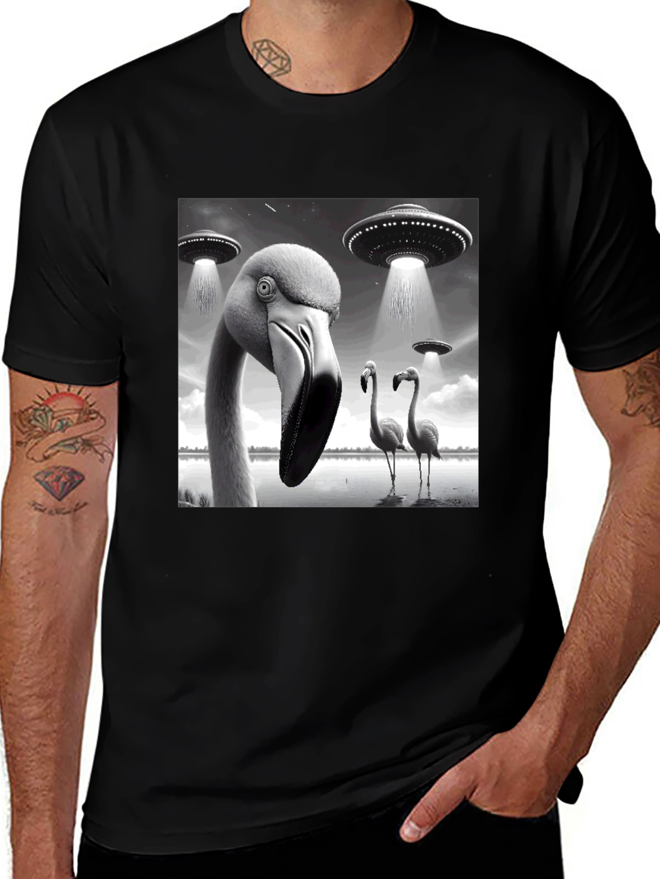Variant 20 of Black Flamingo UFO Abduction T-Shirt