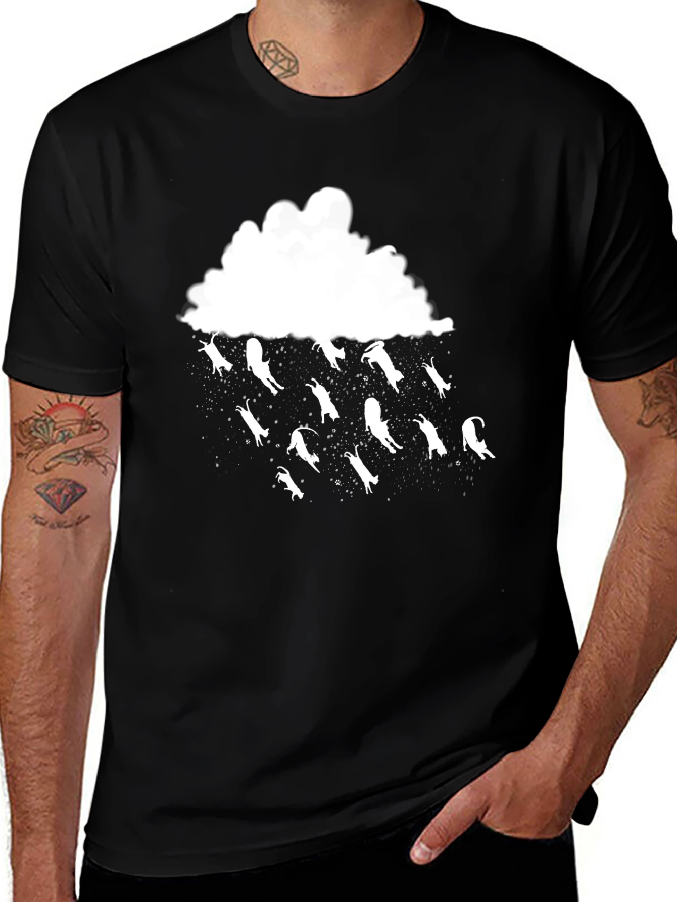 Variant 19 of Funny Cats Rain T-Shirt