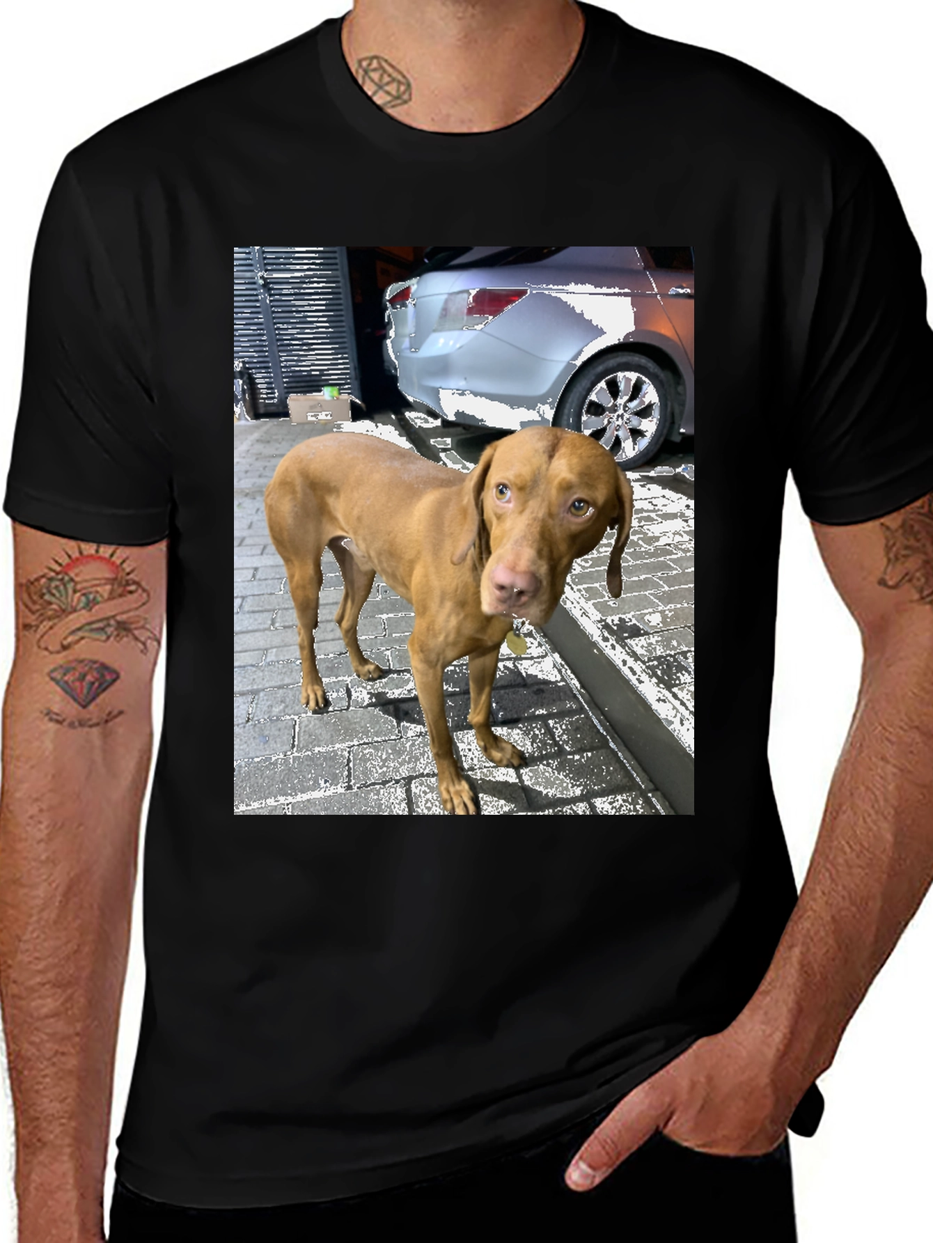 Vizsla Dog Print T-Shirt - Unisex Casual Tee