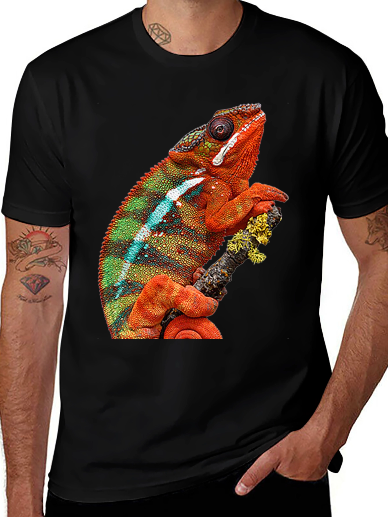 Variant 5 of Chameleon Graphic Print Crew Neck T-Shirt