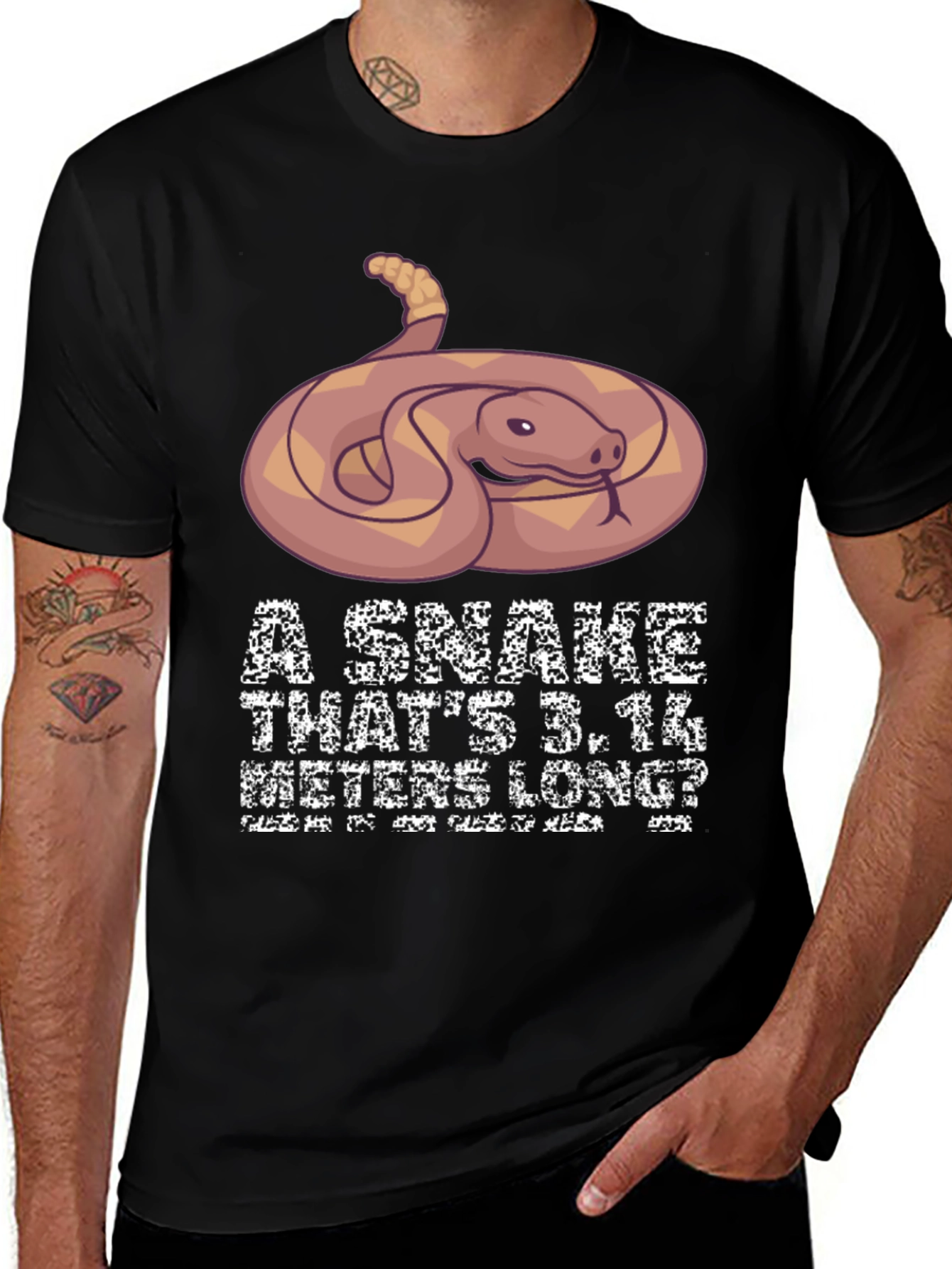 Variant 28 of Funny Snake Pi Day Men's T-Shirt