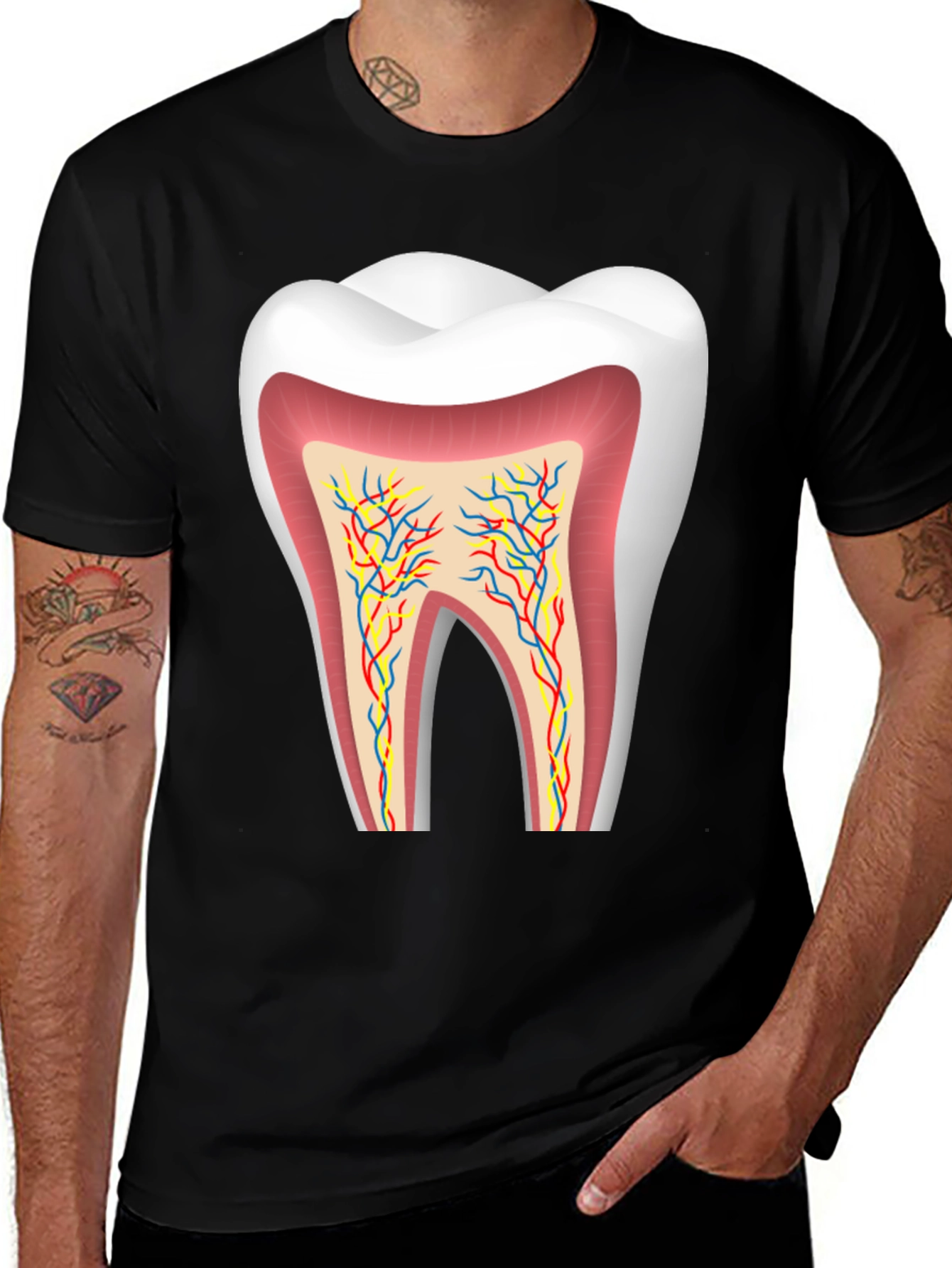 Variant 18 of Anatomical Tooth Graphic Tee - Dentist Apparel