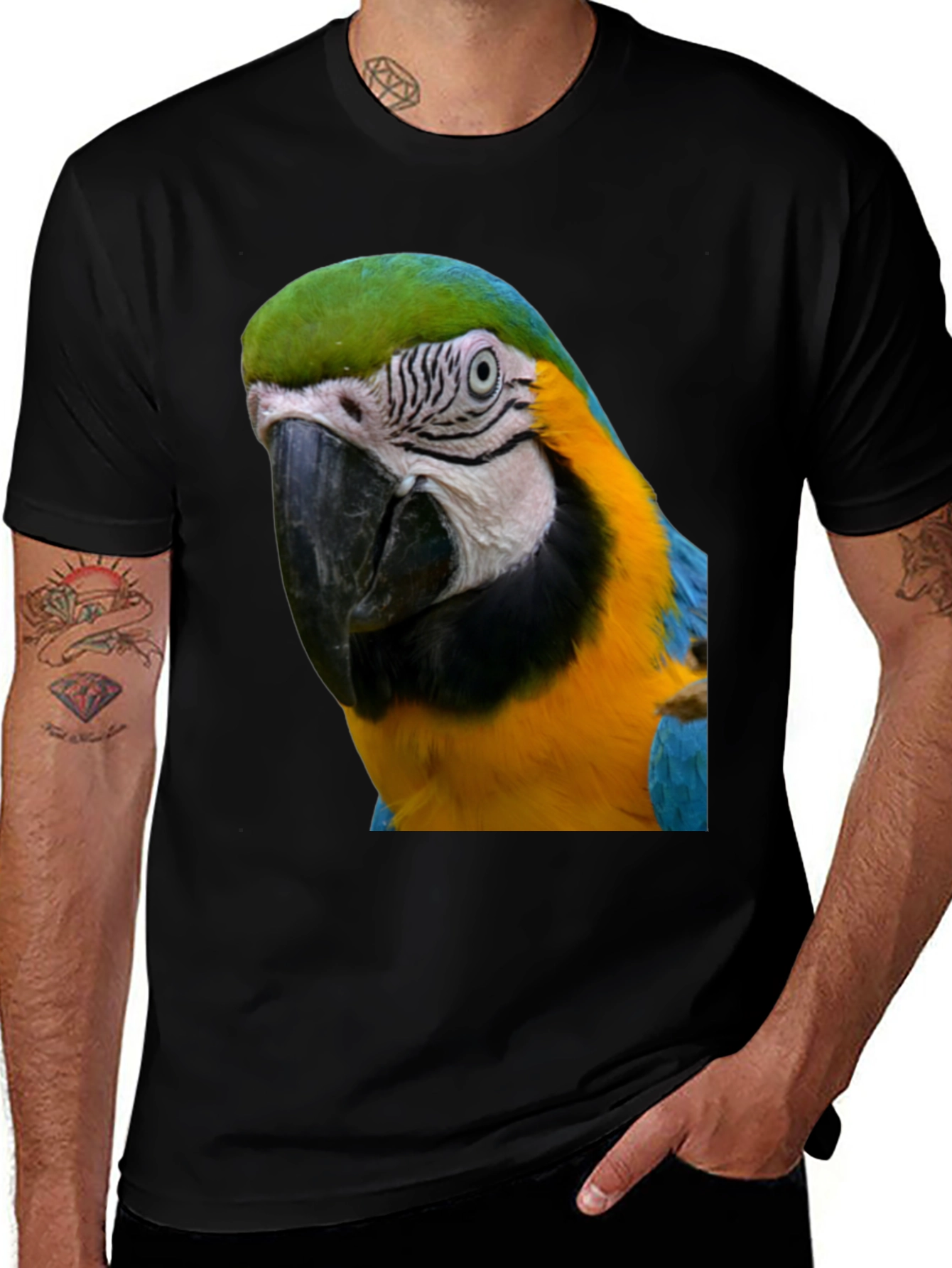 Variant 10 of Parrot Graphic T-Shirt - Unique Bird Design
