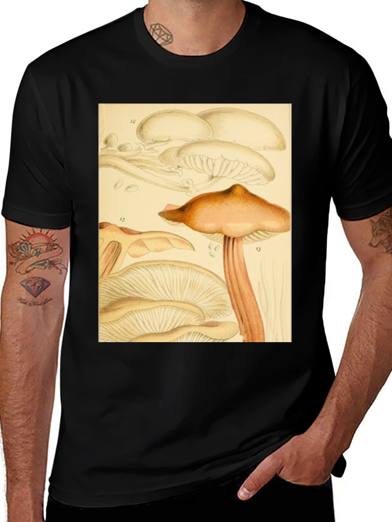Variant 28 of Mushroom Print T-Shirt - Vintage Botanical Style