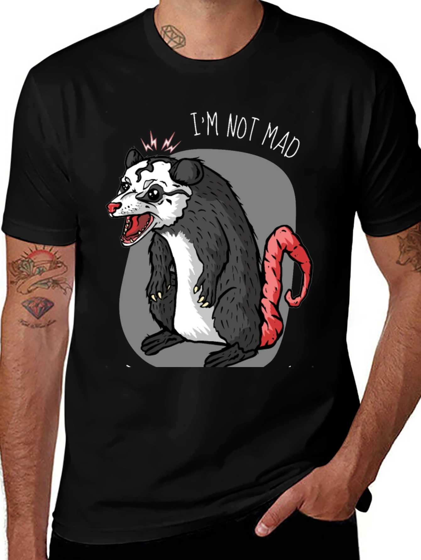 Variant 4 of I'm Not Mad Opossum T-Shirt