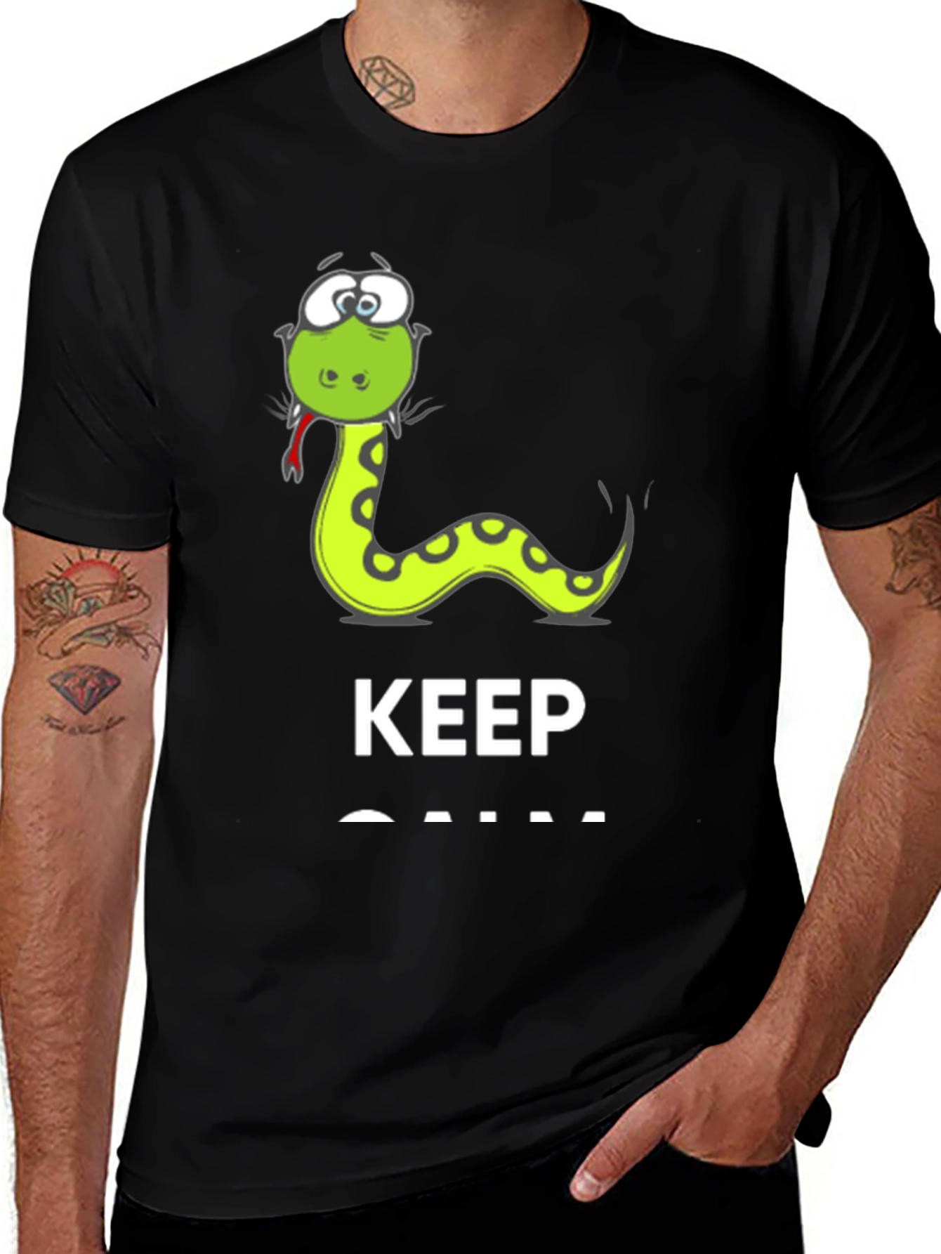 Variant 23 of Funny Snake Keep Calm Men's T-Shirt