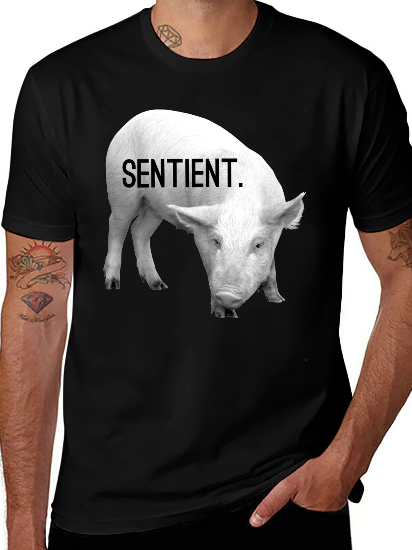 Variant 26 of Sentient Pig Graphic Tee - Vegan Activism Shirt