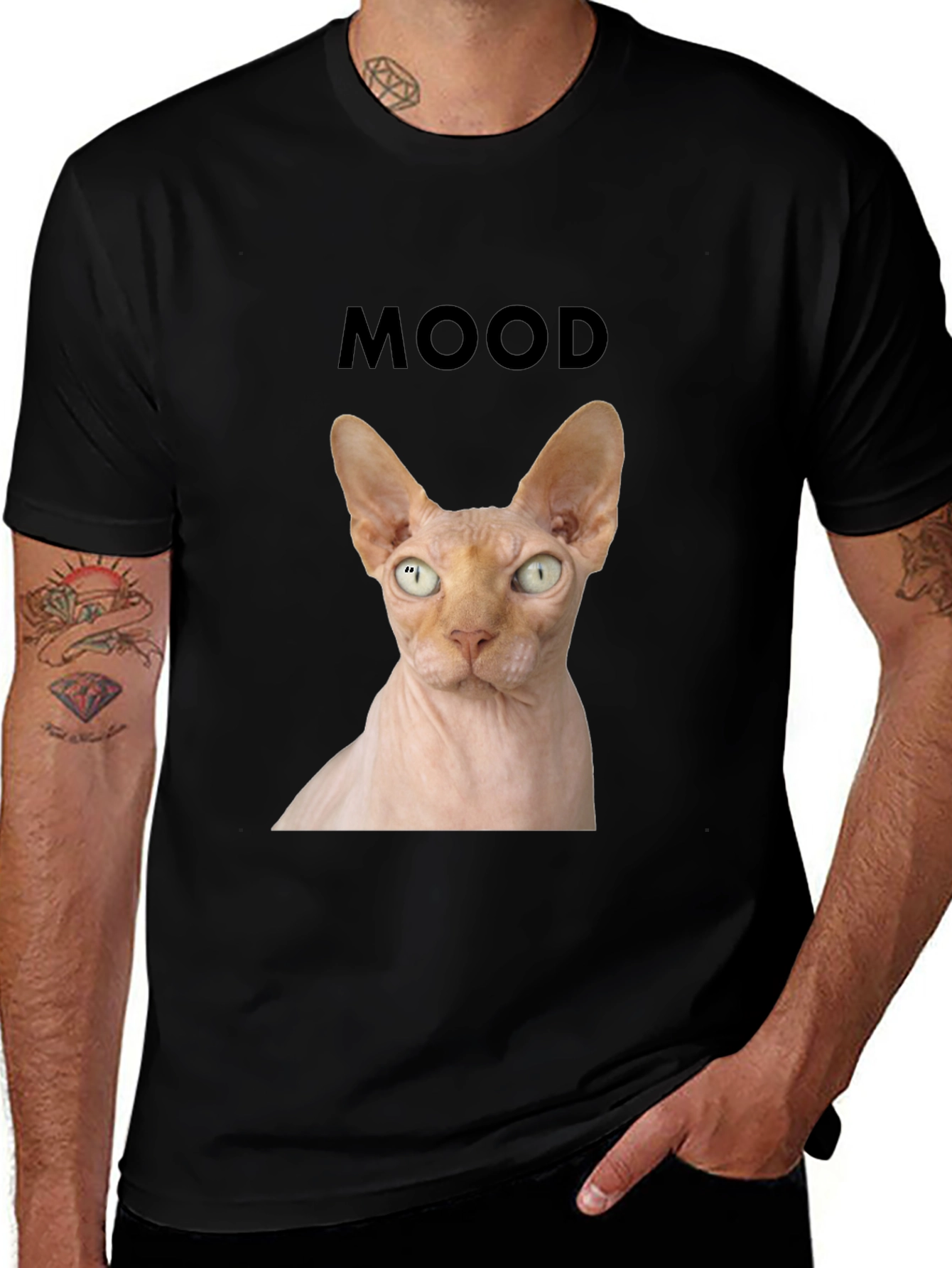 Mood Sphynx Cat T-Shirt, Unique Graphic Tee