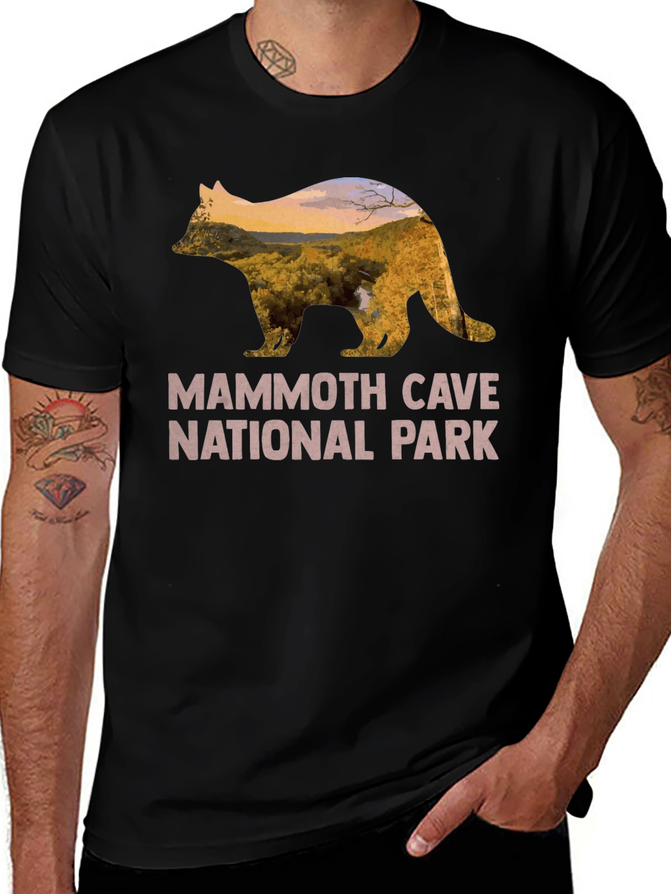 Variant 27 of Mammoth Cave National Park Graphic Tee