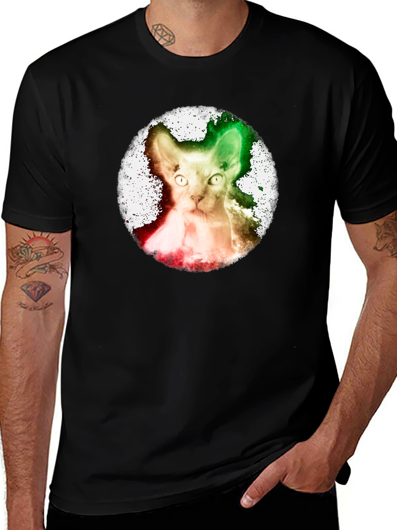 Variant 9 of Sphynx Cat Graphic T-Shirt - Unique Design