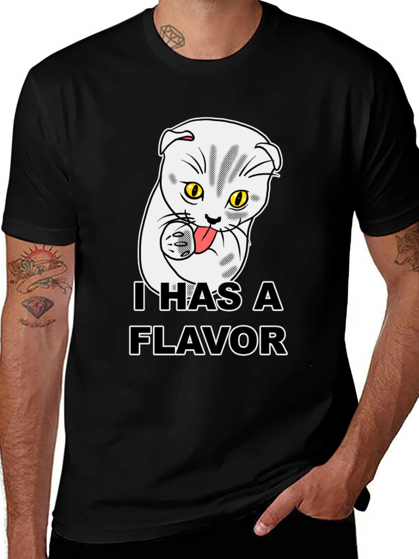 Variant 28 of I Has A Flavor Funny Cat T-Shirt