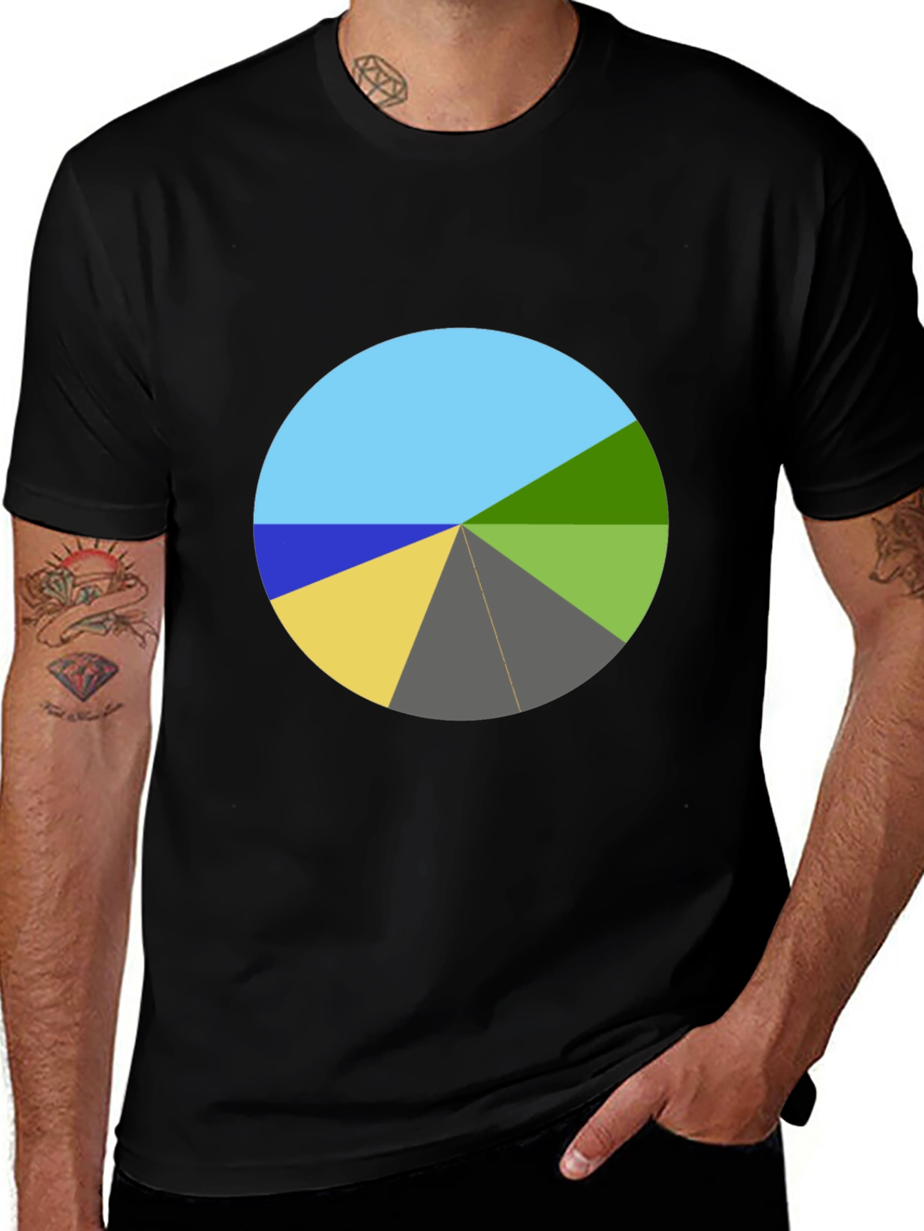 Variant 9 of Geometric Pie Chart Graphic Tee - Unique Design