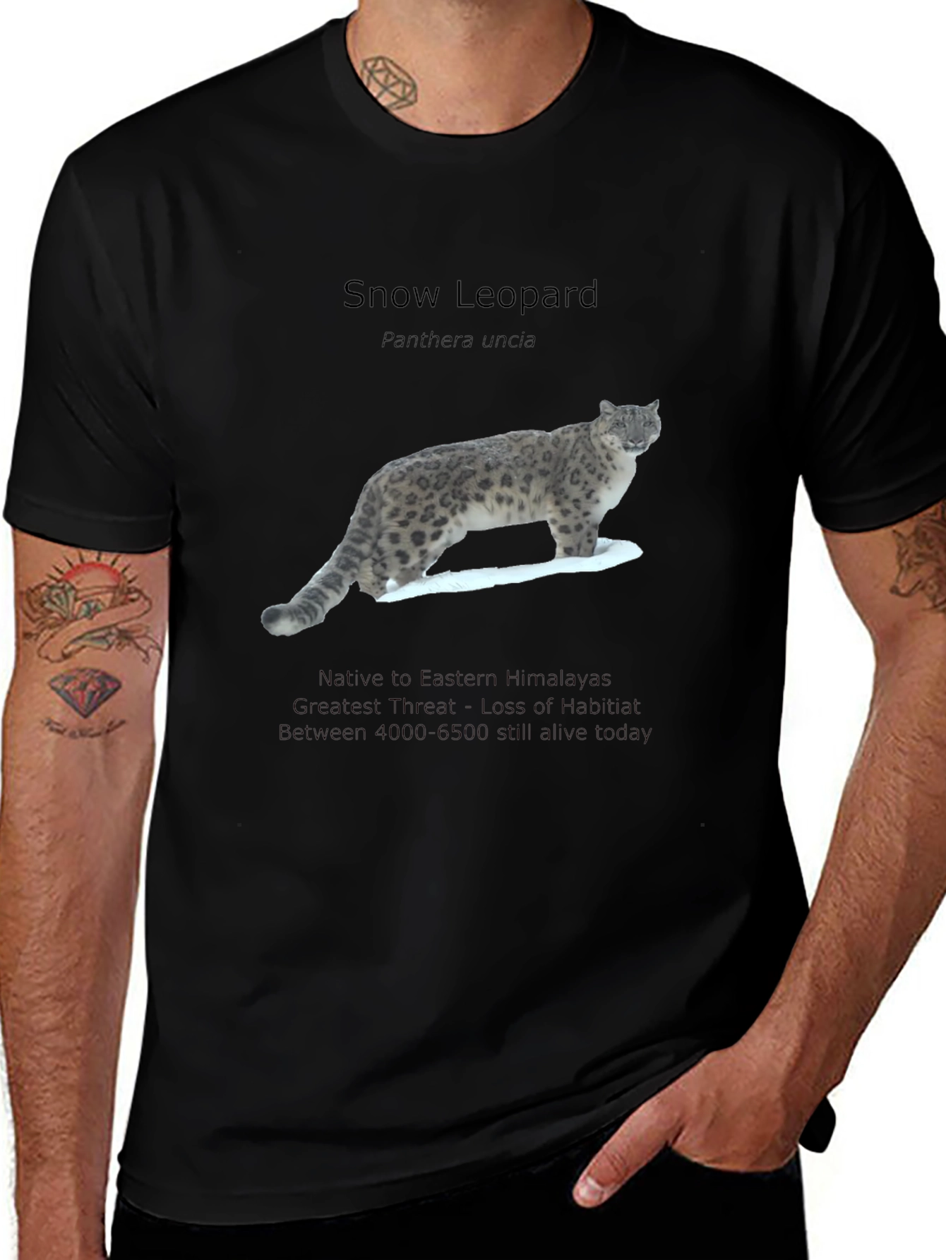 Variant 26 of Snow Leopard Graphic Tee - Eastern Himalayas Conservation