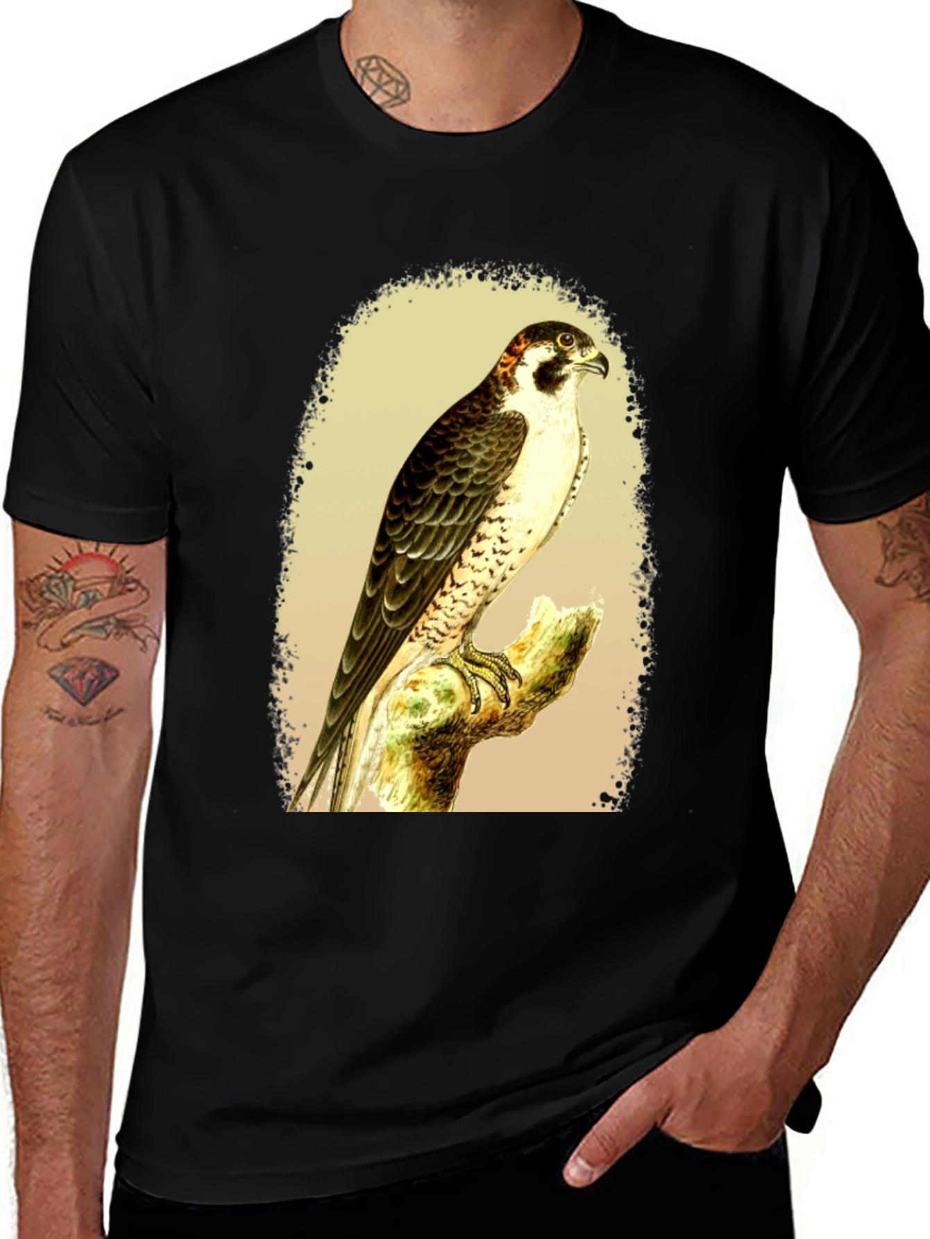 Variant 16 of Falcon Graphic Tee - Vintage Bird Illustration T-Shirt