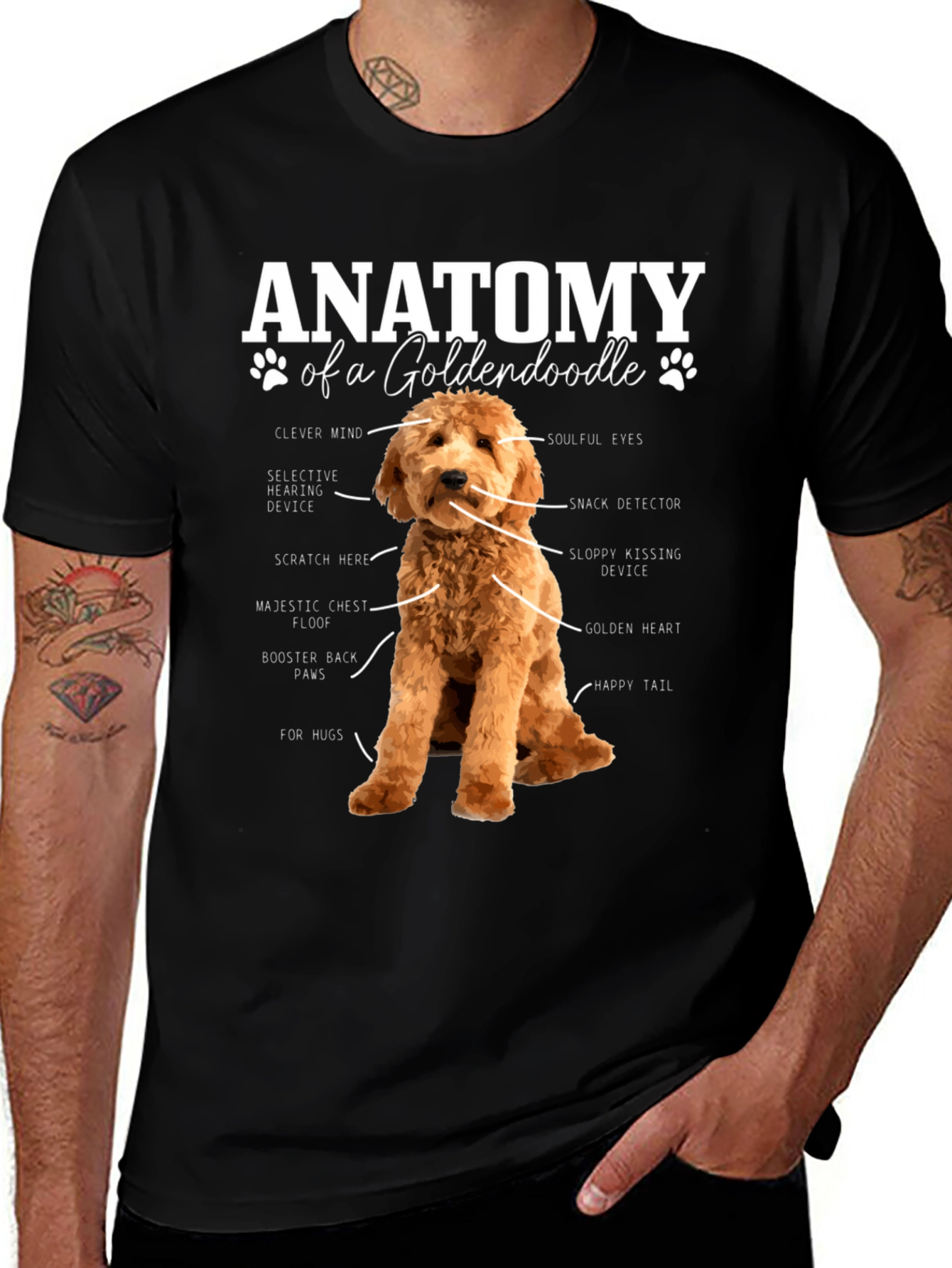 Goldendoodle Anatomy Graphic T-Shirt