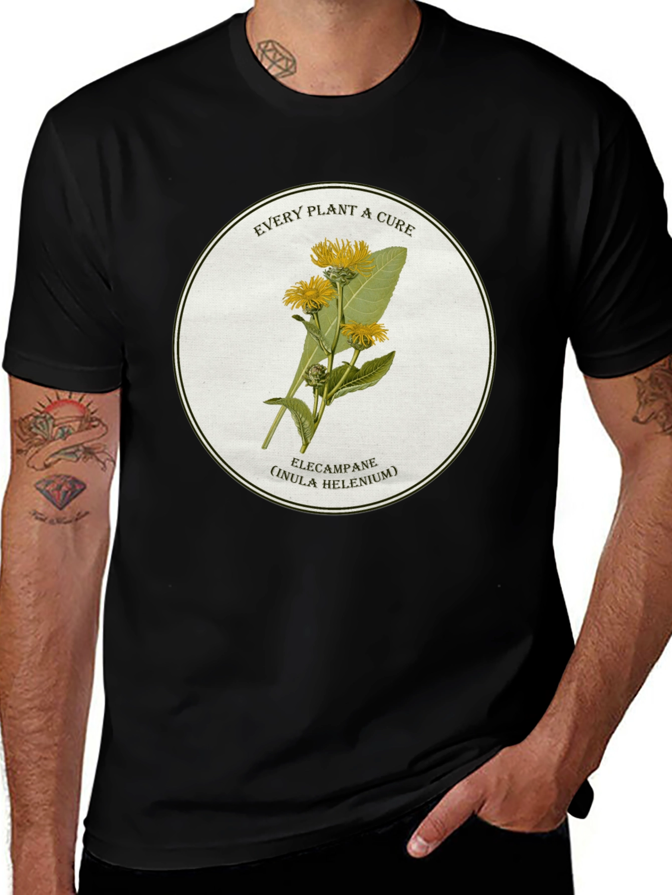 Elecampane Plant T-Shirt - Every Plant a Cure Tee