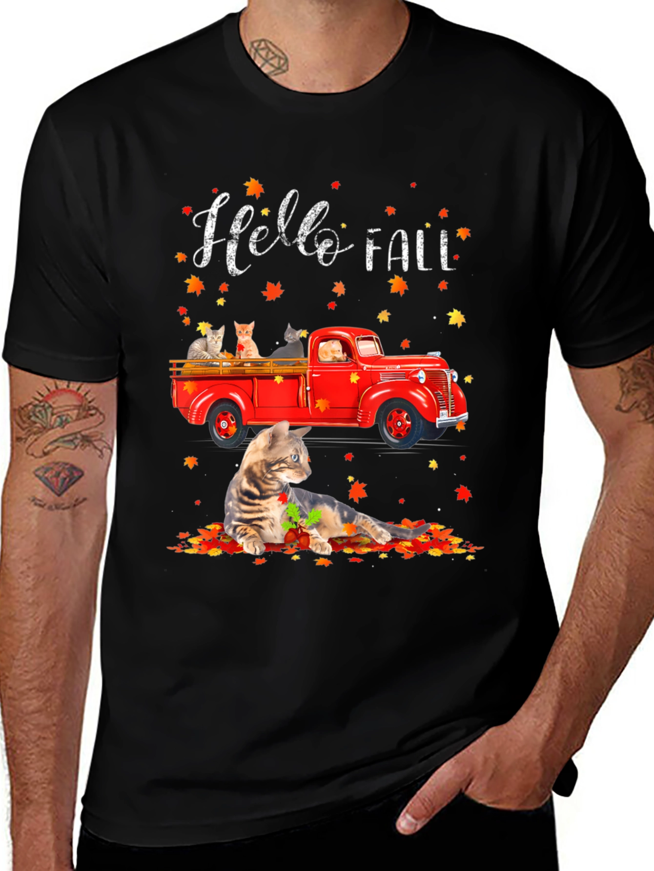 Variant 26 of Hello Fall Cat Truck T-Shirt