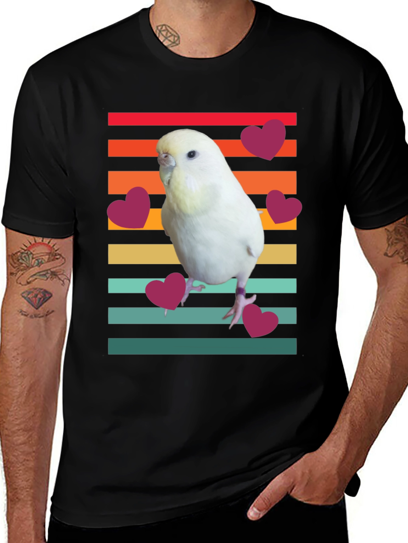 Variant 4 of Budgie Love Striped T-Shirt