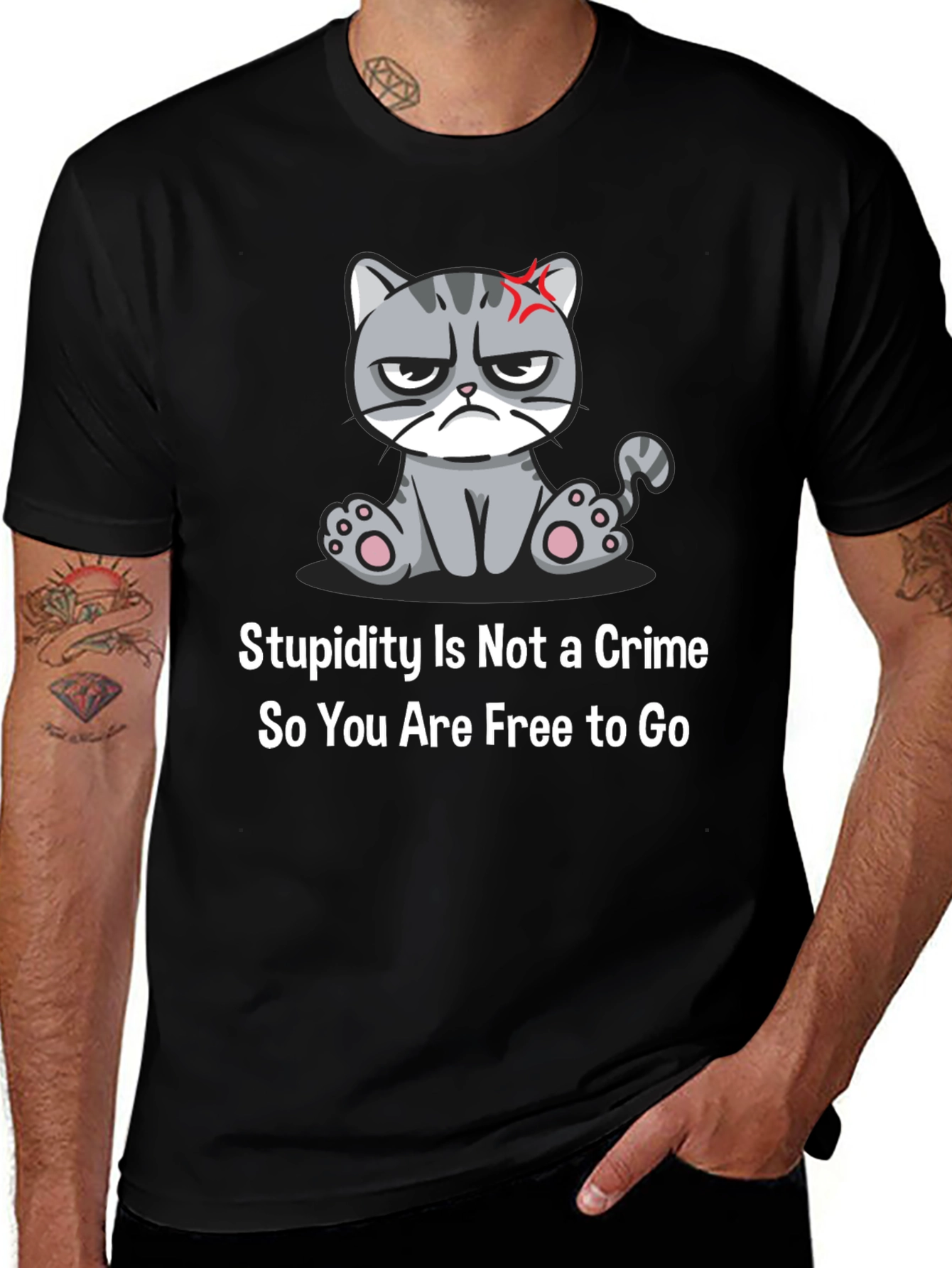 Variant 5 of Grumpy Cat T-Shirt: Stupidity Is Not a Crime - Funny Sarcastic Tee