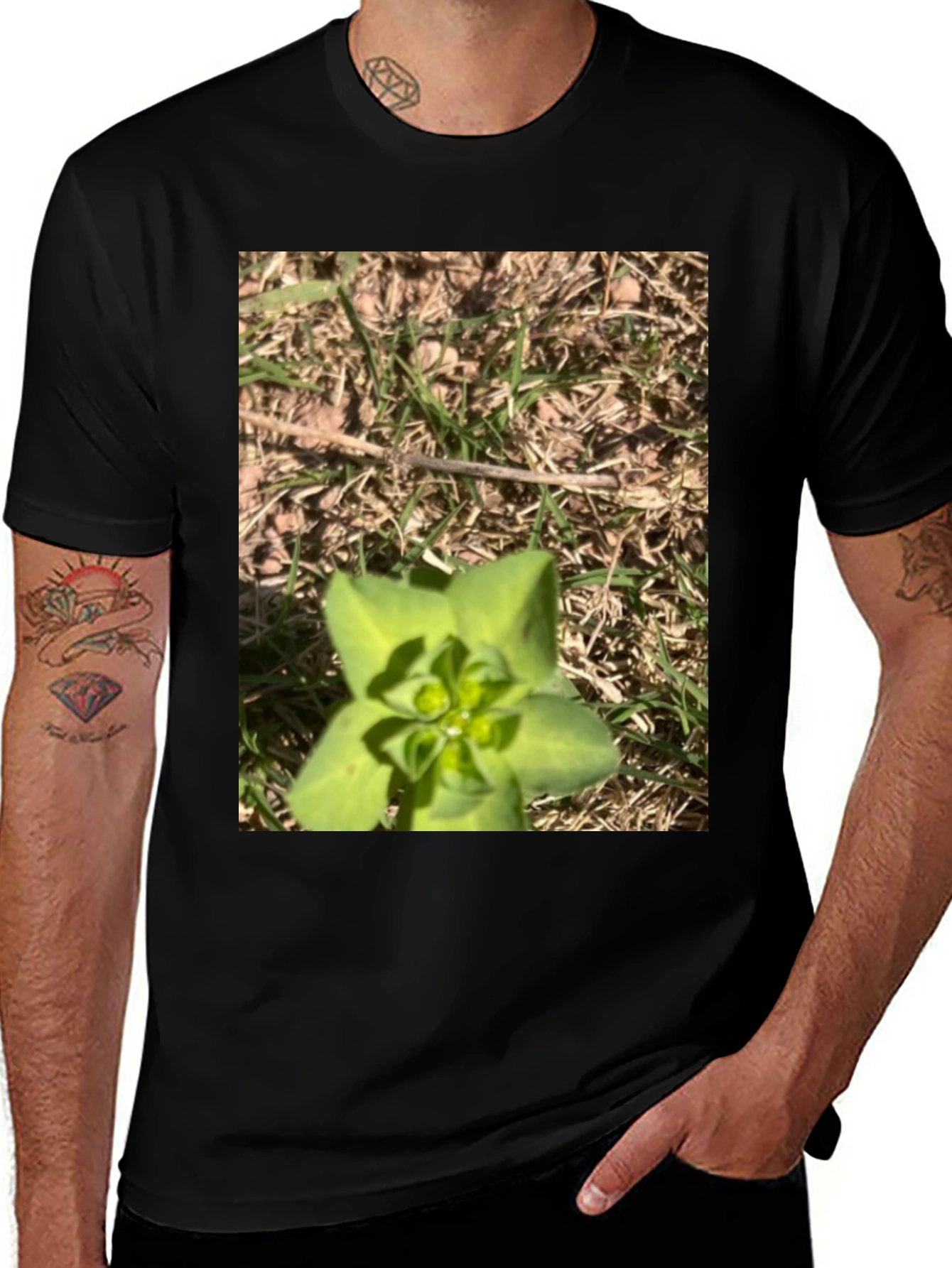 Variant 25 of Nature-Inspired Graphic Tee