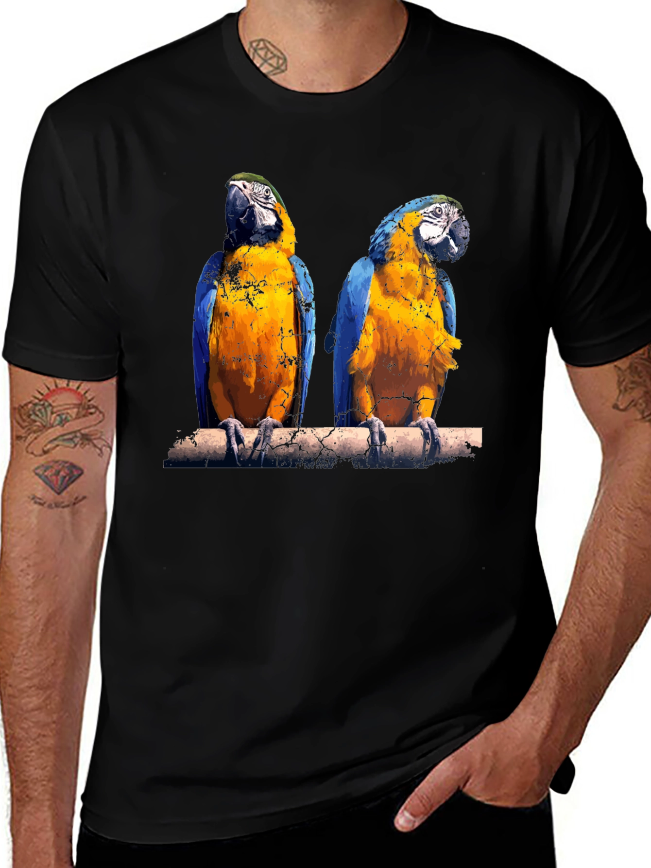 Variant 19 of Parrot Graphic Tee - Vibrant Bird Print