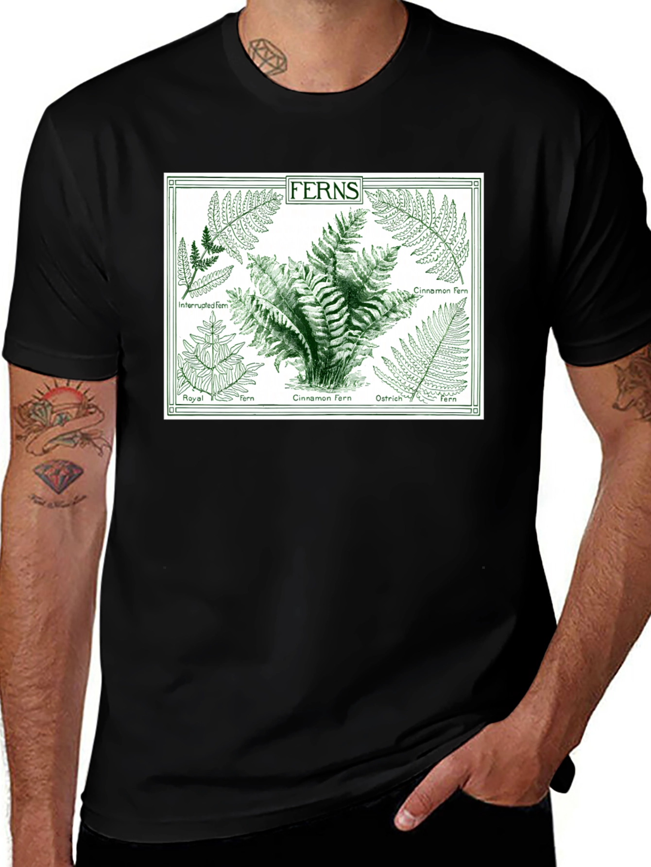 Variant 14 of Vintage Ferns Botanical Print T-Shirt