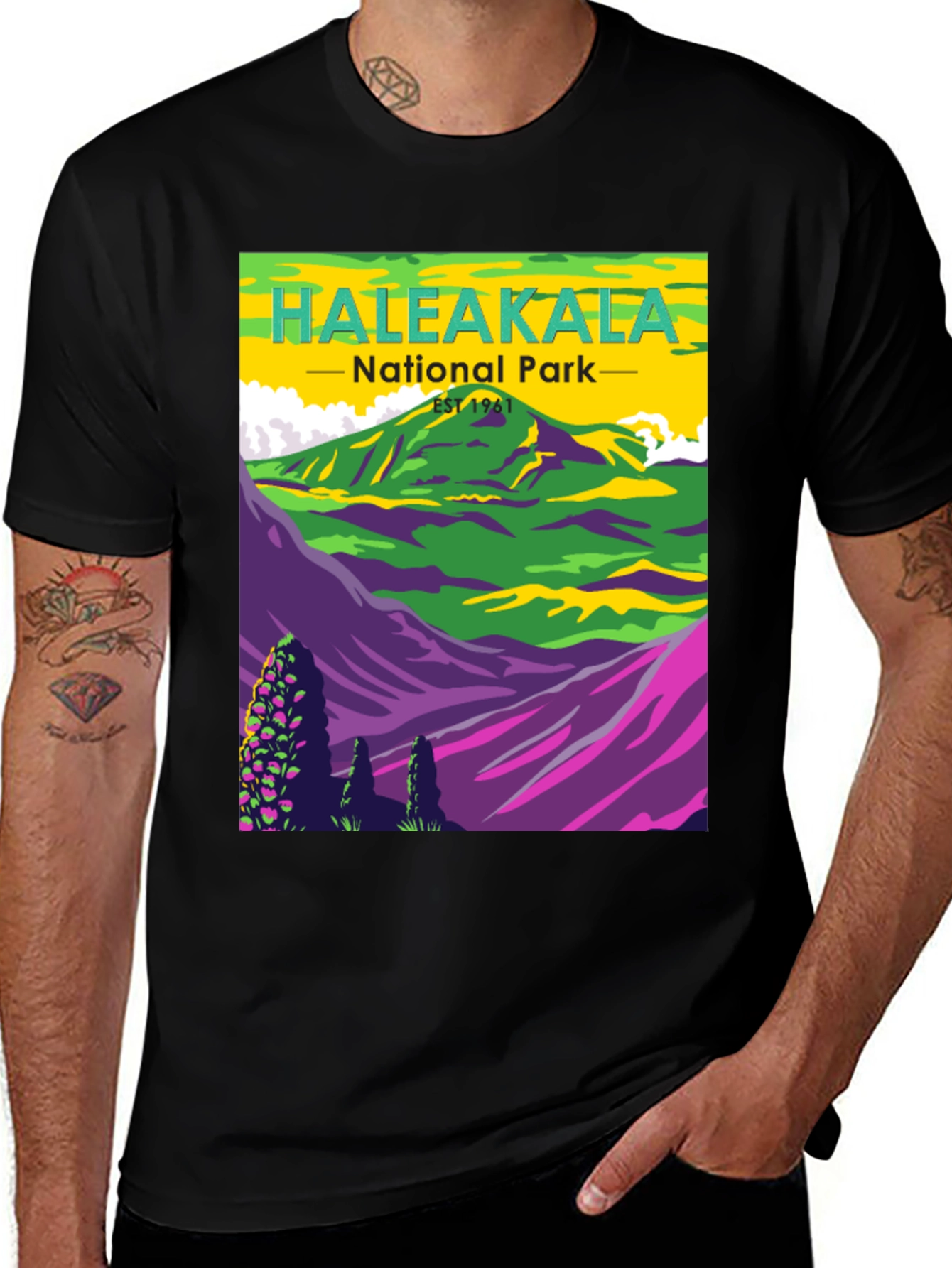 Variant 12 of Haleakala National Park Graphic T-Shirt