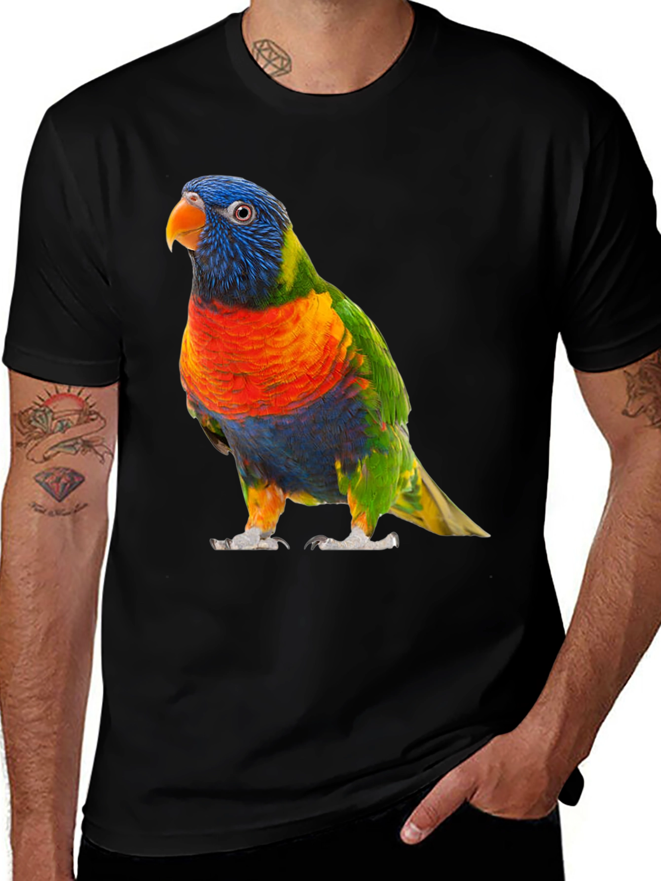 Vibrant Lorikeet Bird Graphic T-Shirt