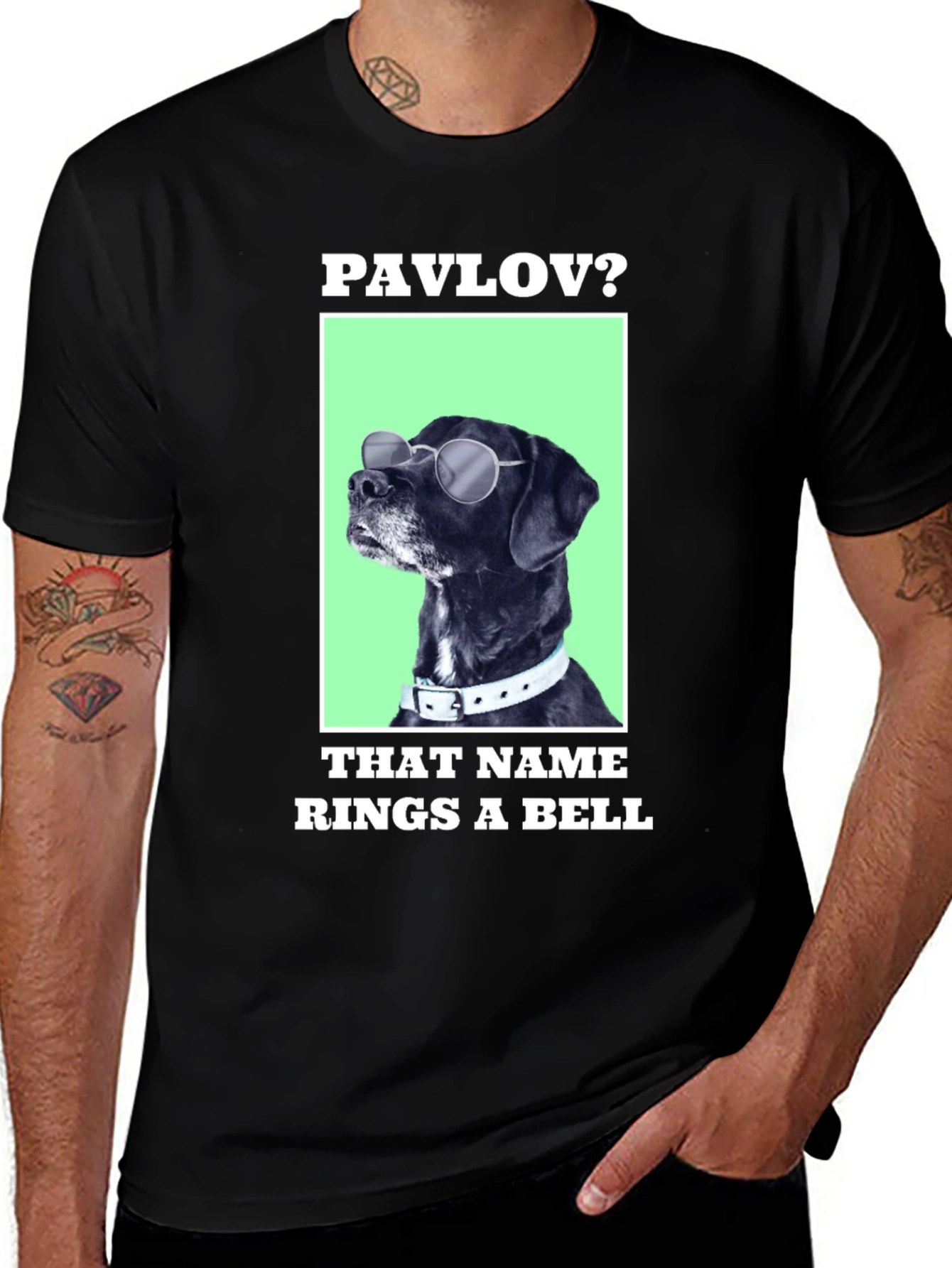 Variant 11 of Pavlov Dog T-Shirt - That Name Rings A Bell Funny Tee