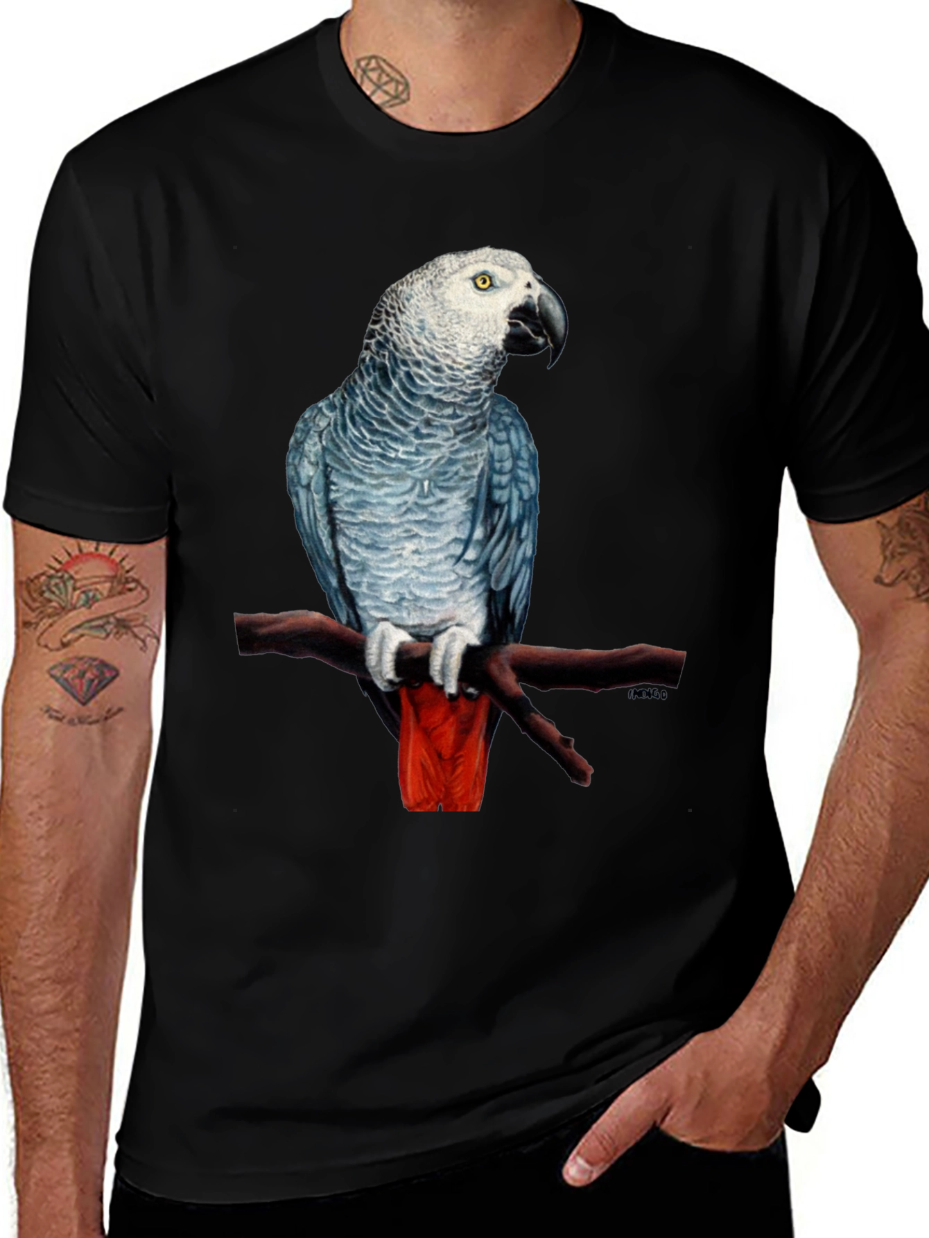 African Grey Parrot T-Shirt