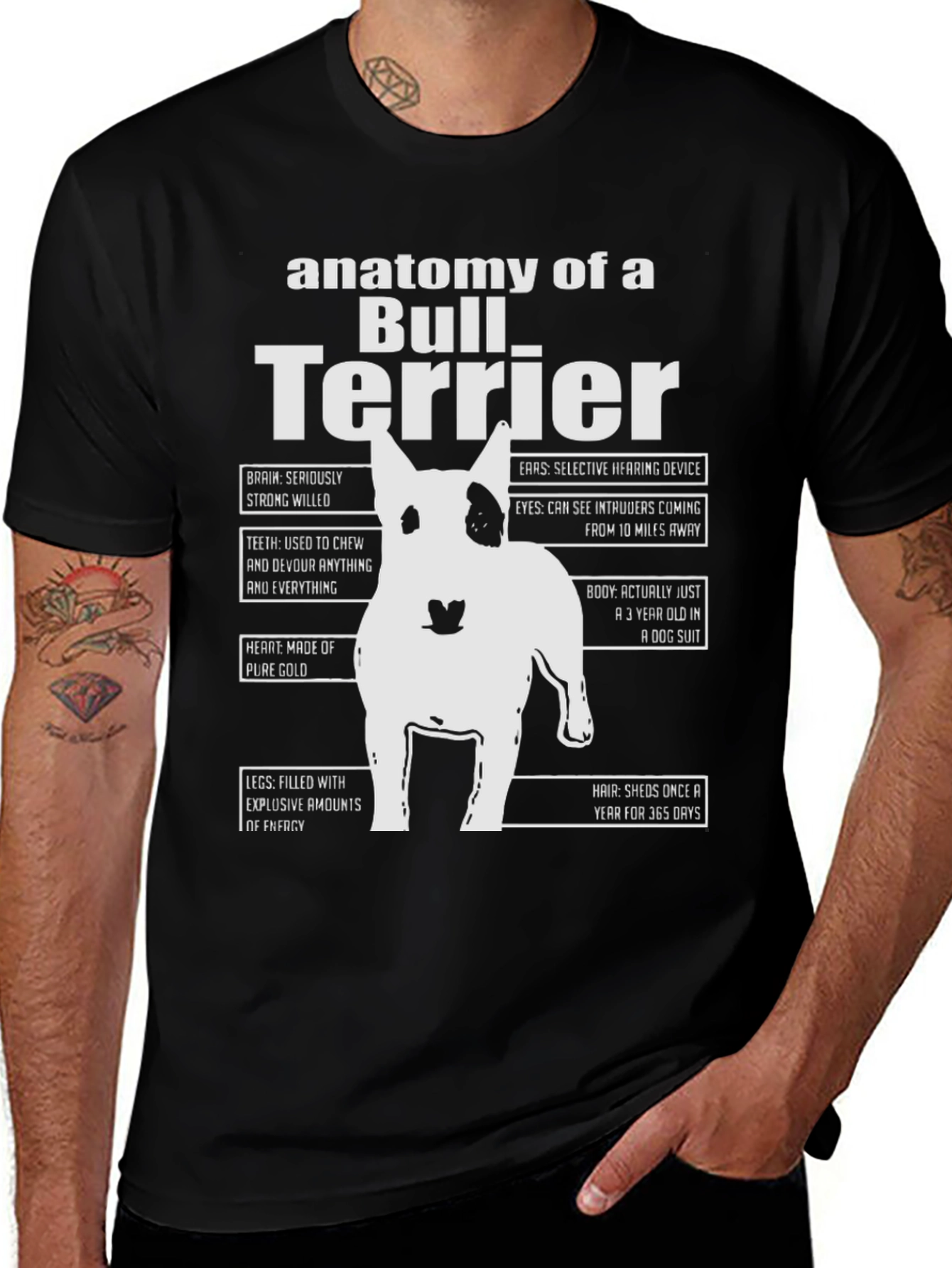 Anatomy of a Bull Terrier T-Shirt