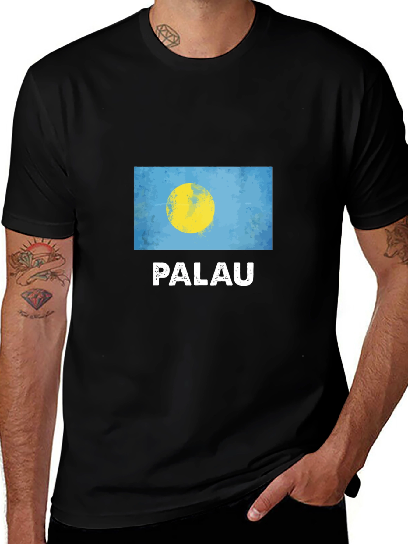 Variant 15 of Palau Flag Graphic T-Shirt - Black