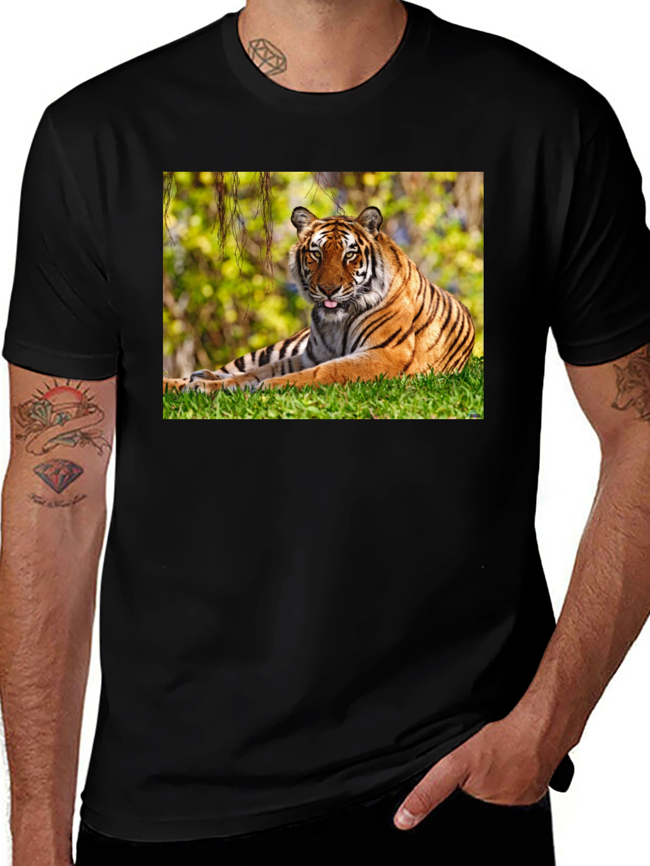 Variant 9 of Tiger Graphic Black T-Shirt