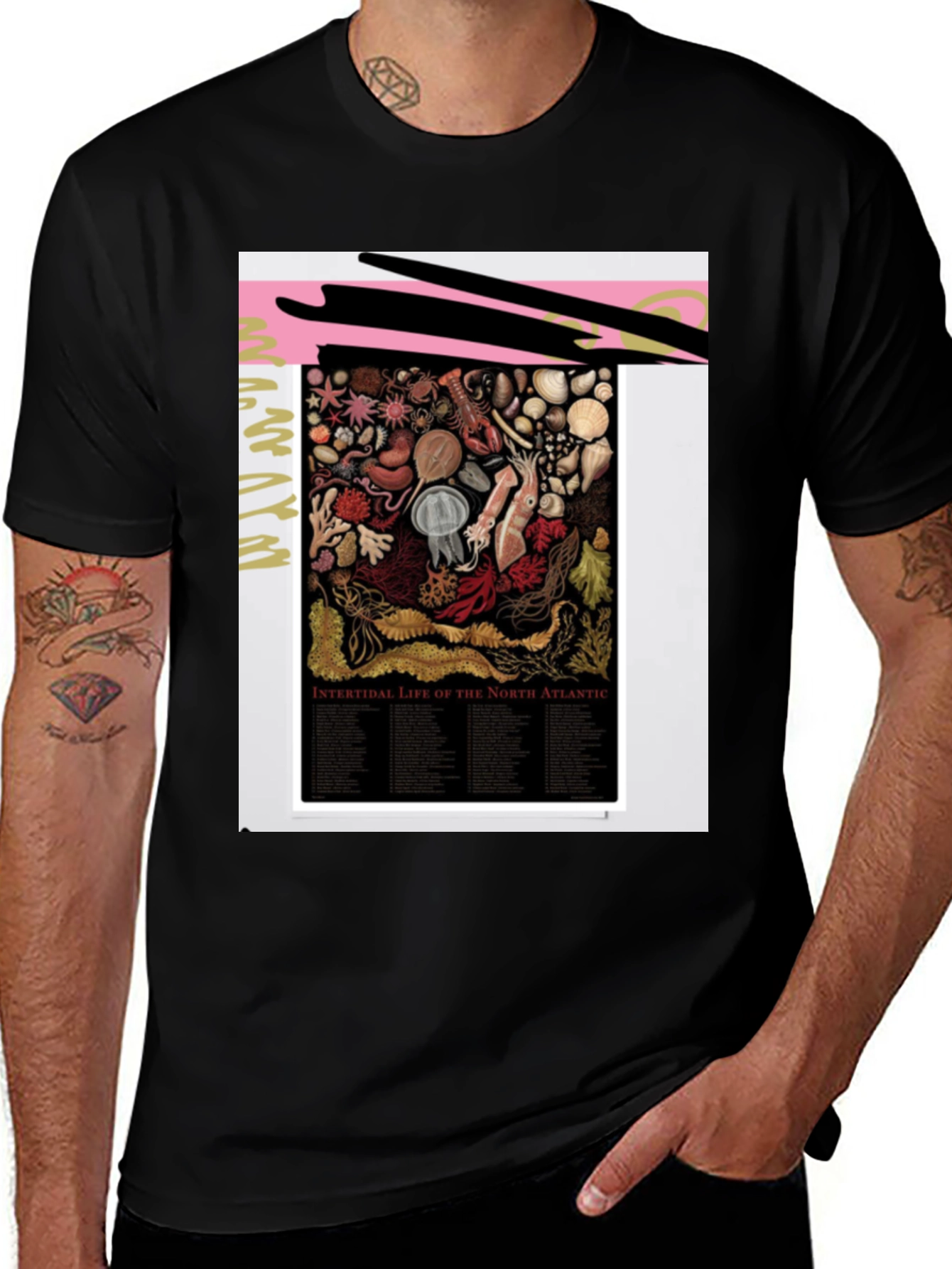 Variant 20 of Intertidal Life of North Atlantic Graphic Tee