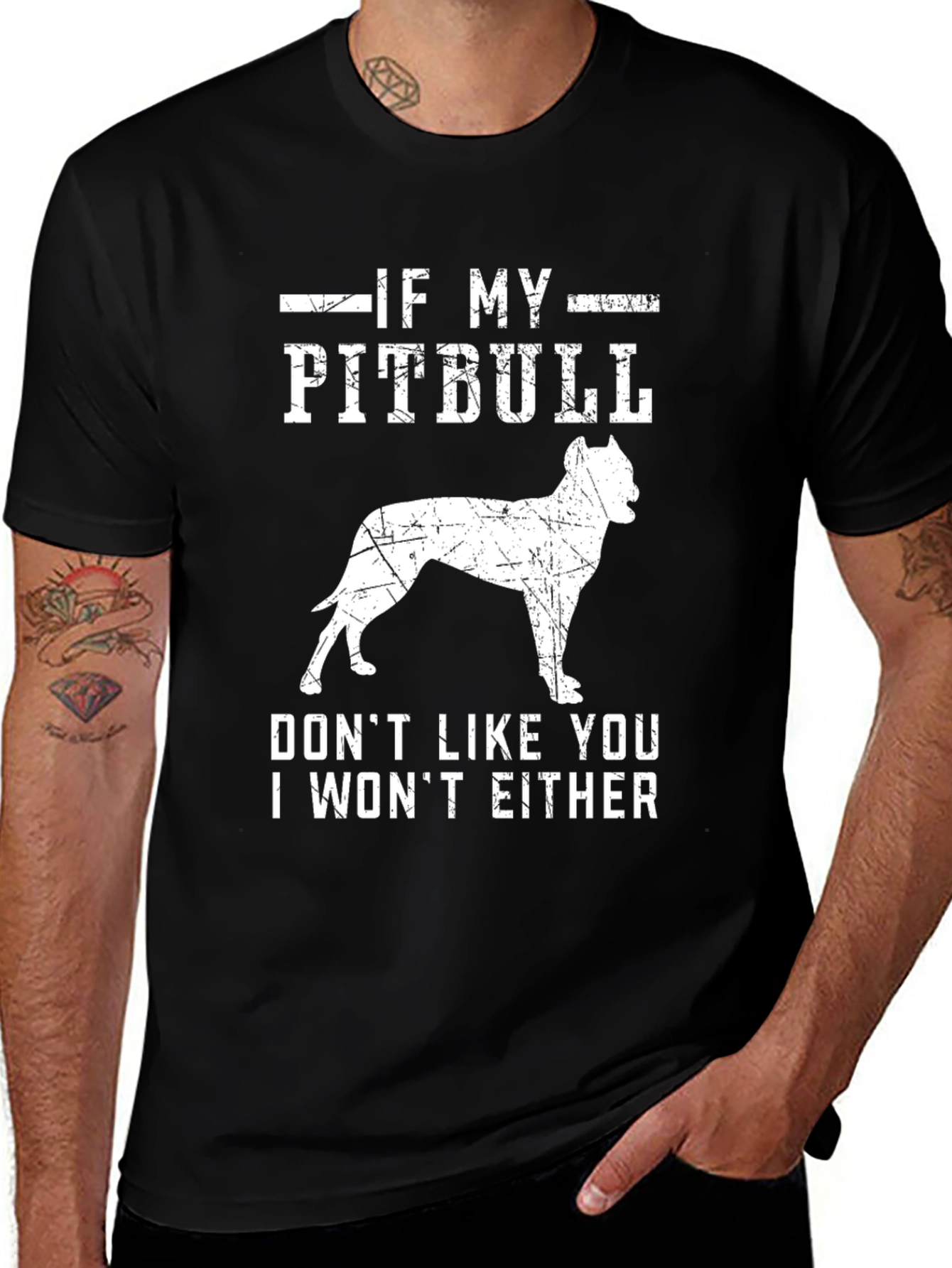 If My Pitbull Don't Like You T-Shirt